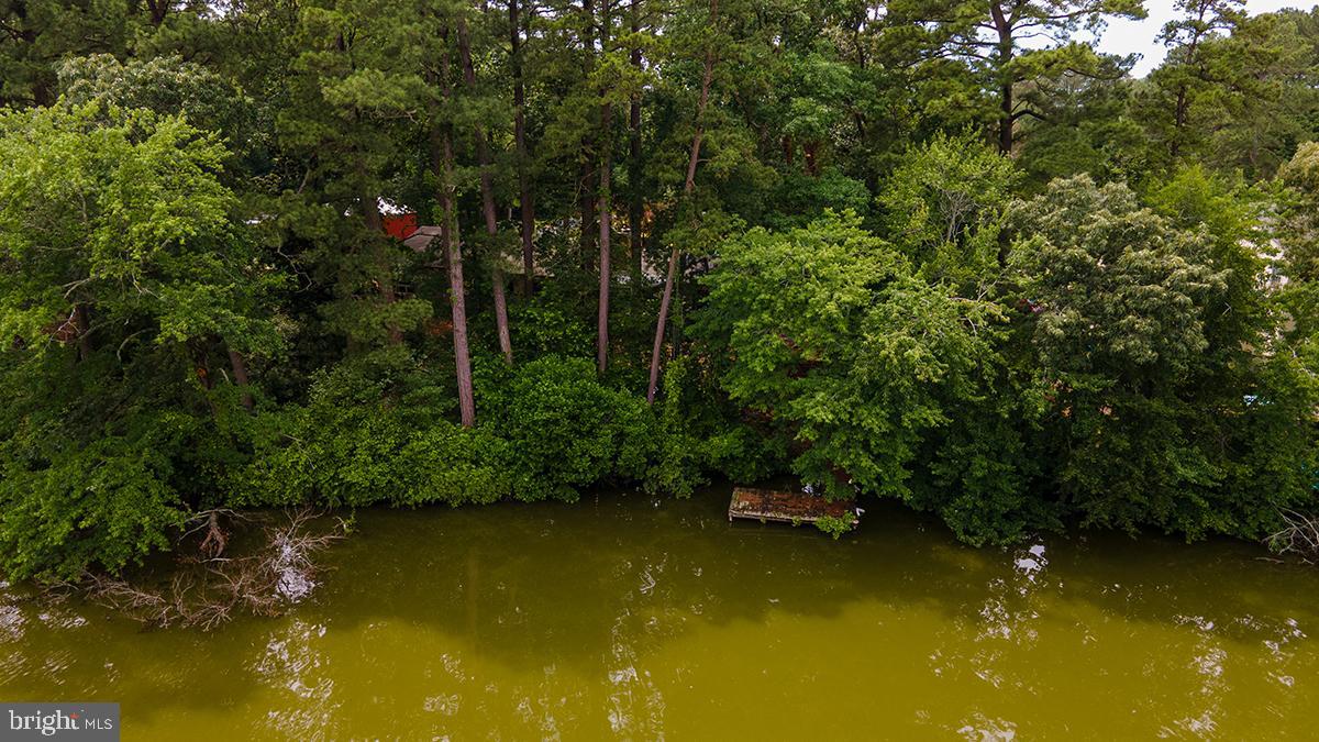 HOLLY LAKE ESTATES - Residential