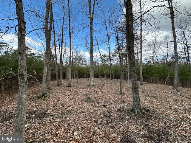 If you’re looking for a piece of land where you can disappear for a while, this 8.86-acre tract in Middle Ridge Estates near Burlington, WV might be exactly what you’ve been waiting for. Tucked deep in the heart of Mineral County, this property offers the kind of peace and privacy you just can’t find anymore. No traffic, no neighbors in sight—just woods, wildlife, and a spot to clear your head. There’s already a good start on the driveway, and the terrain sets up perfectly for a cabin or weekend retreat. The build site sits up high and dry, with plenty of space to stretch out and make it your own. Electricity is nearby—just drill a well, install a septic, and start building. It’s heavily wooded, which means you’ve got solid cover for hunting and enough timber to keep your place tucked away, completely out of sight from the road. Whether you're chasing deer, turkey, or just some hard-earned solitude, this place delivers. If you’ve been itching for land that gives you freedom and flexibility, this one’s worth a hard look. Bring your boots and take a walk—you’ll know right away if it’s meant to be yours.