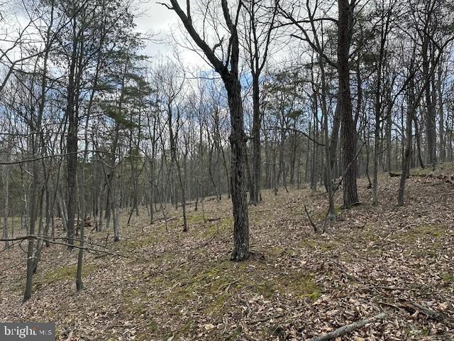 MIDDLE RIDGE ESTATES - Land