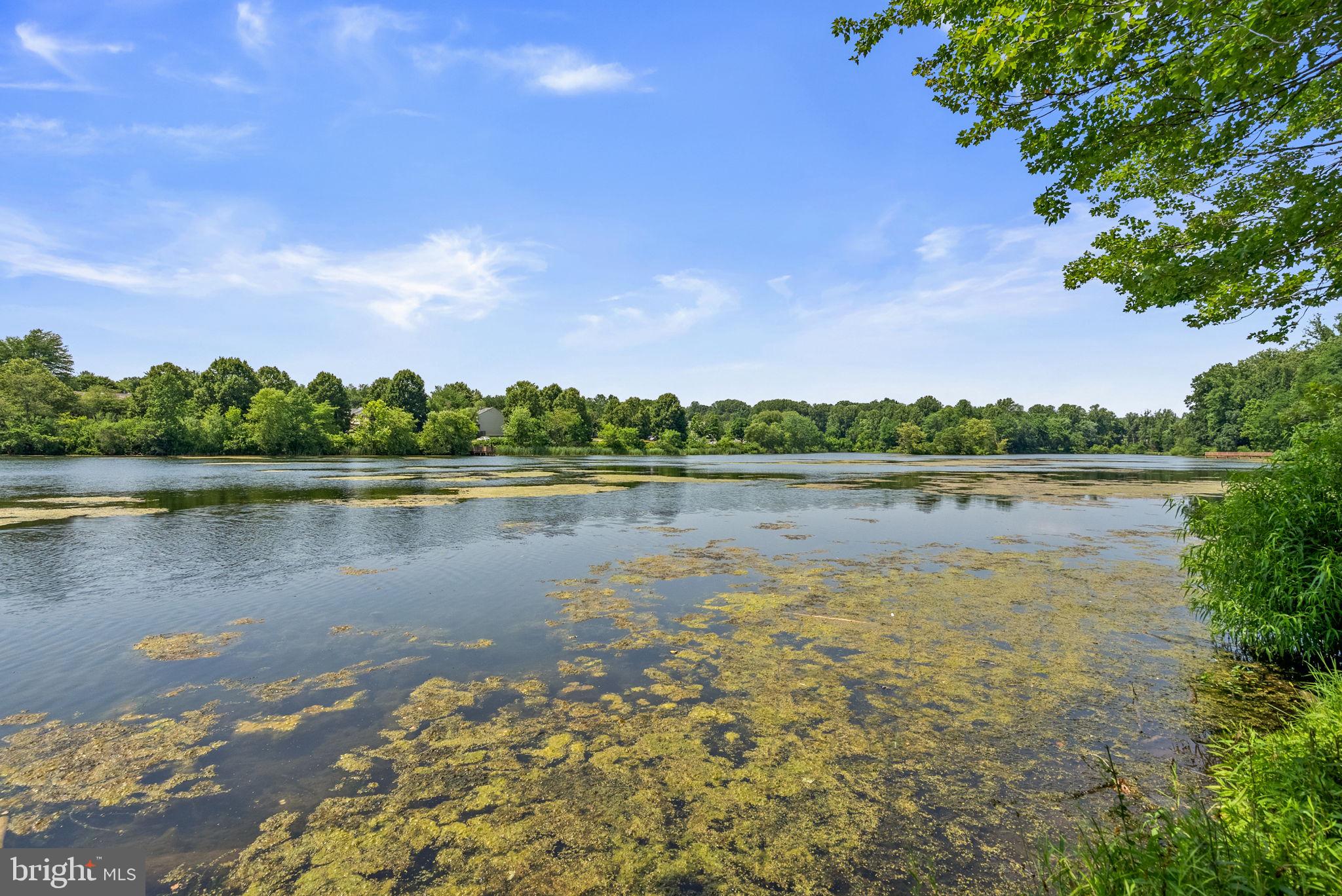 GUNNERS LAKE VILLAGE - Residential