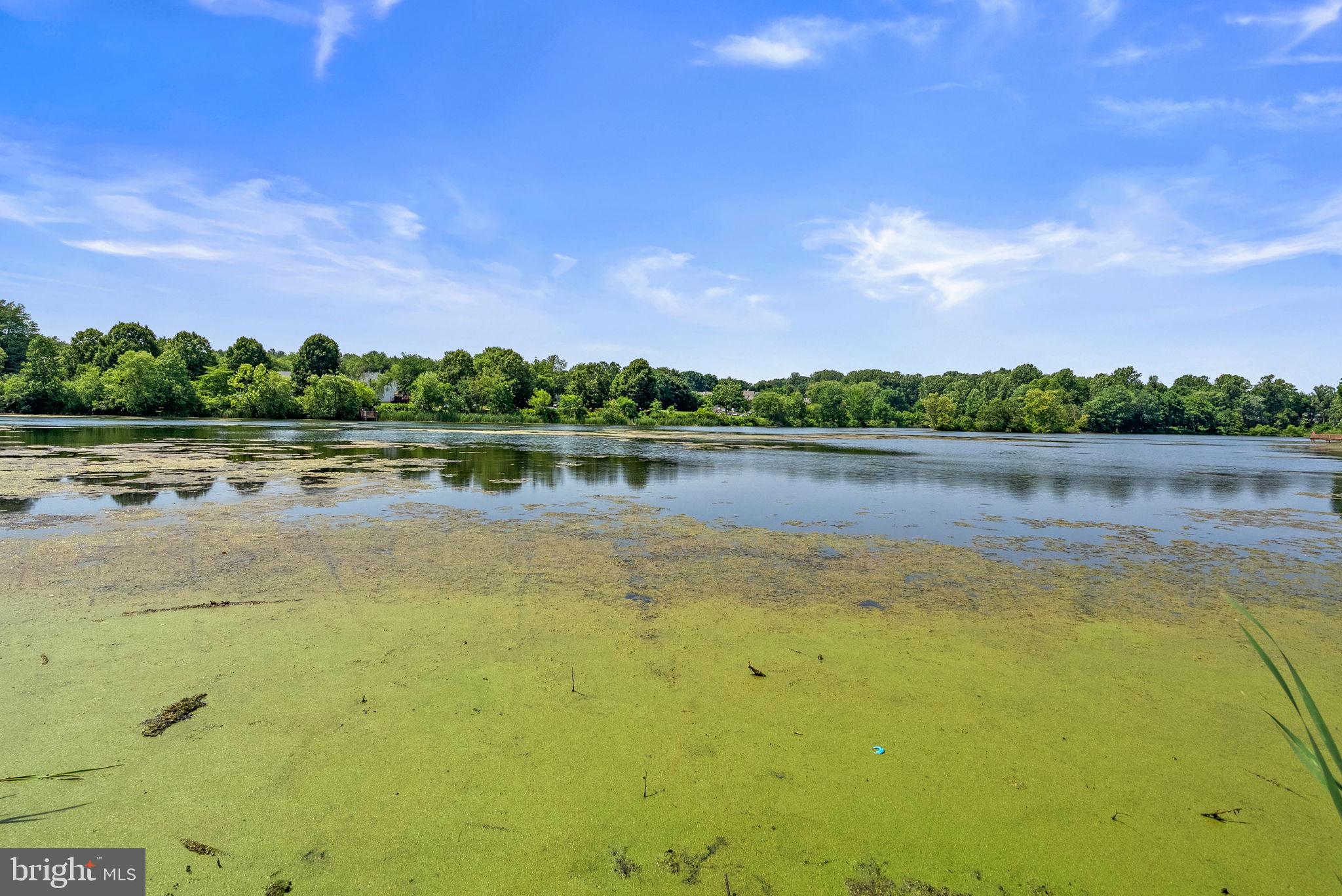 GUNNERS LAKE VILLAGE - Residential