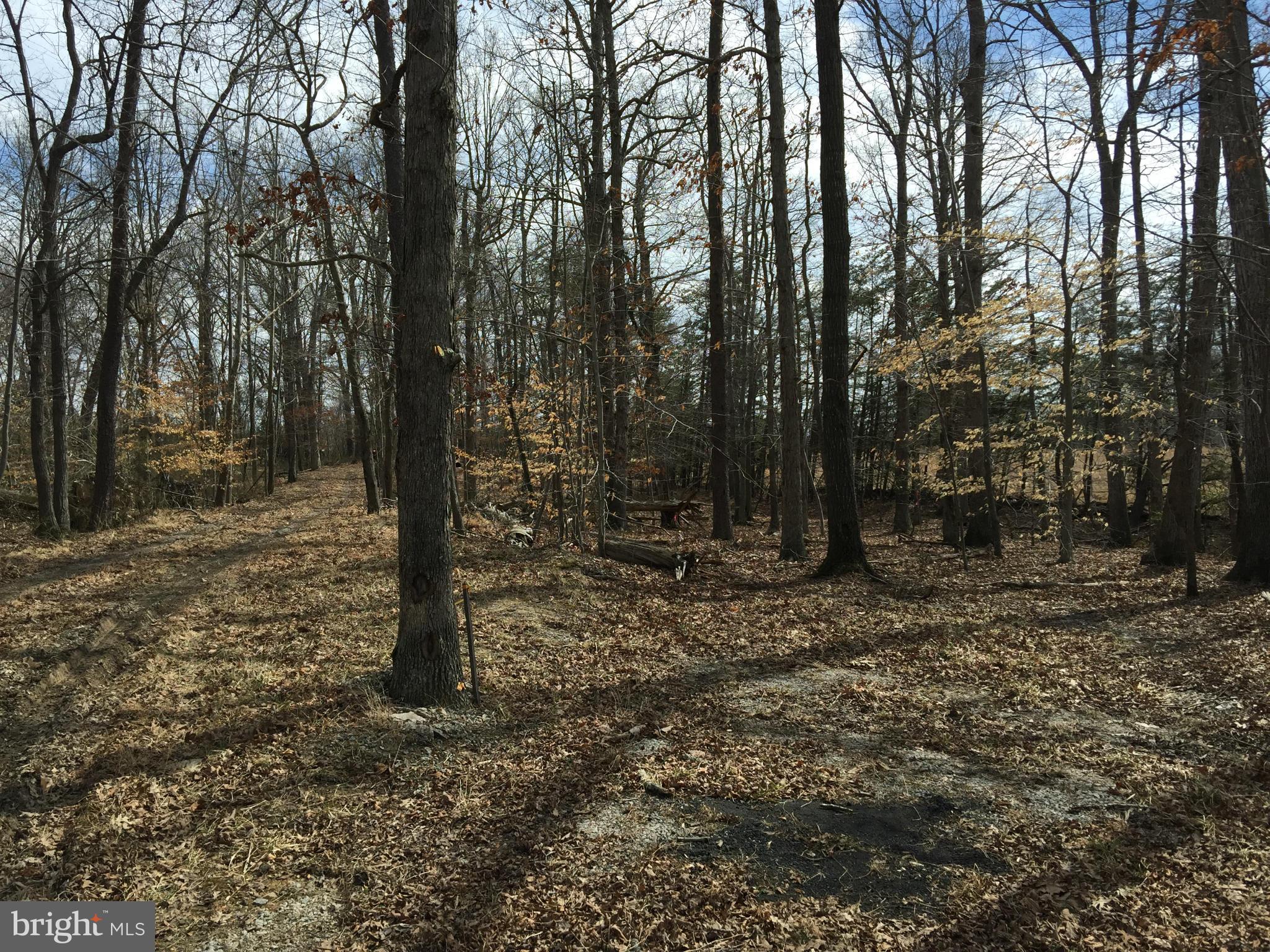 JERRY CAROTHERS PROPERTY - Land