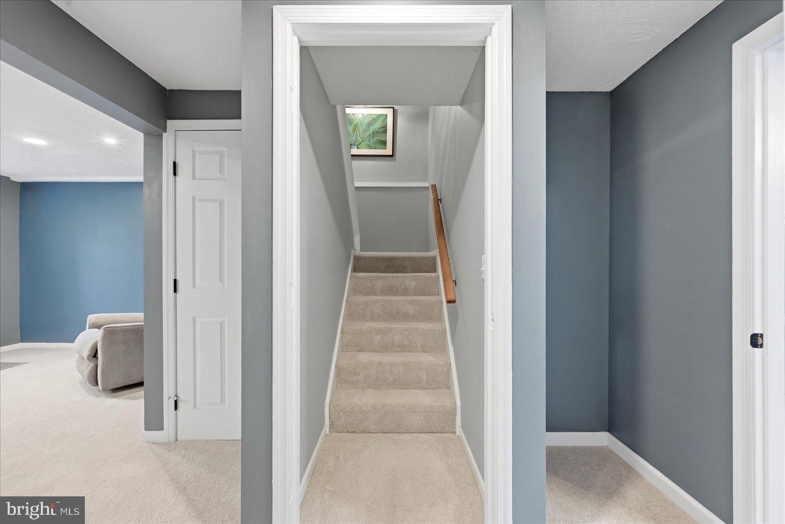 ASHBURN VILLAGE - Residential
