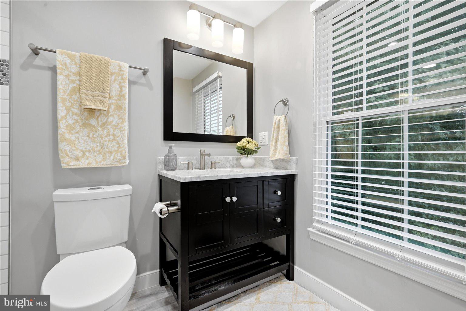 ASHBURN VILLAGE - Residential
