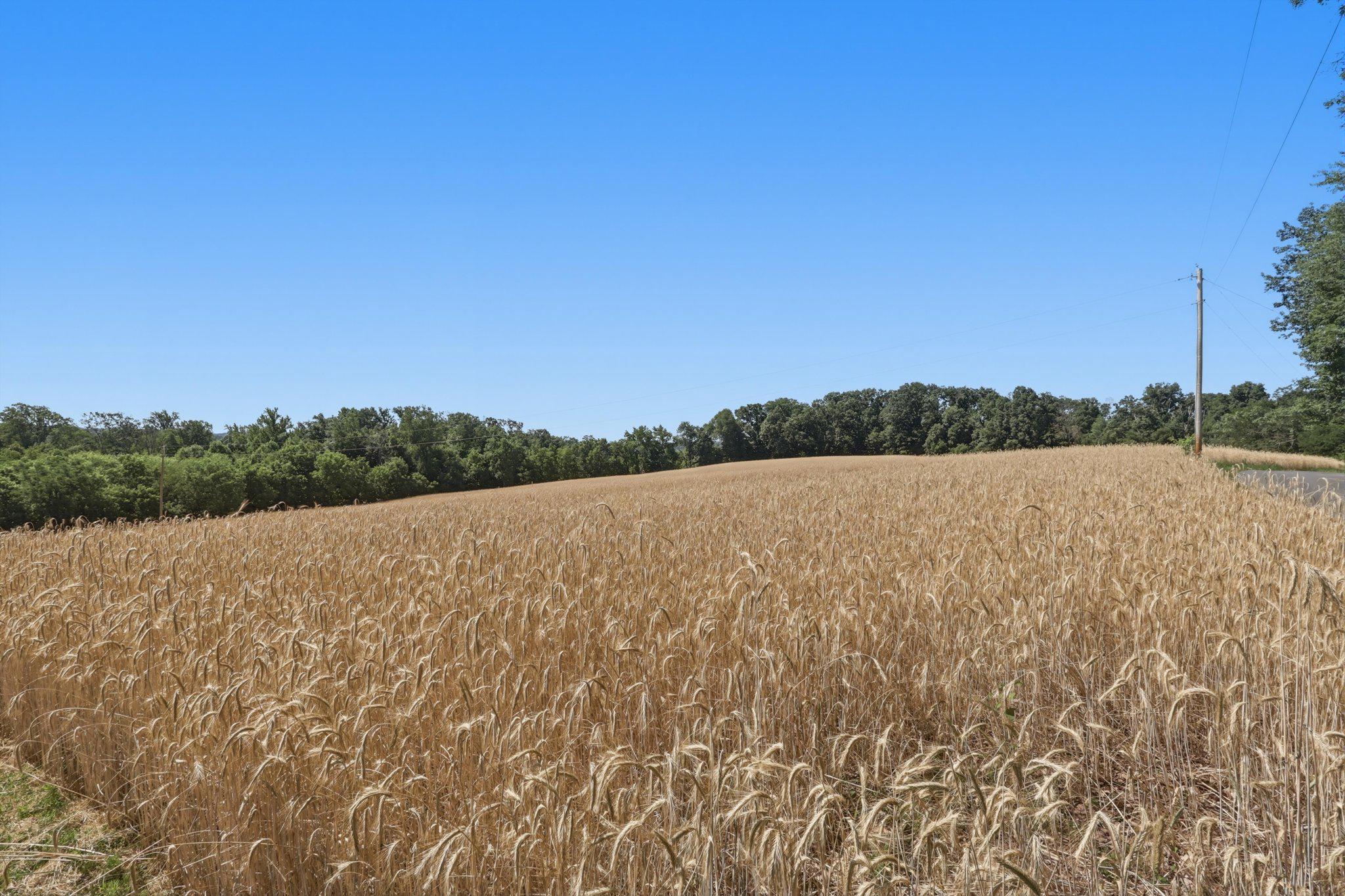 NONE AVAILABLE - Farm