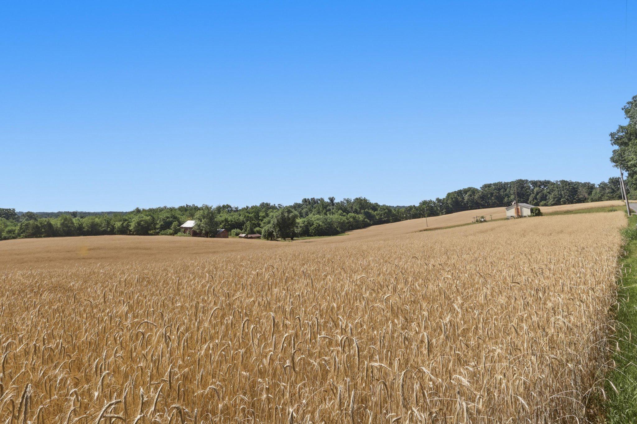 NONE AVAILABLE - Farm