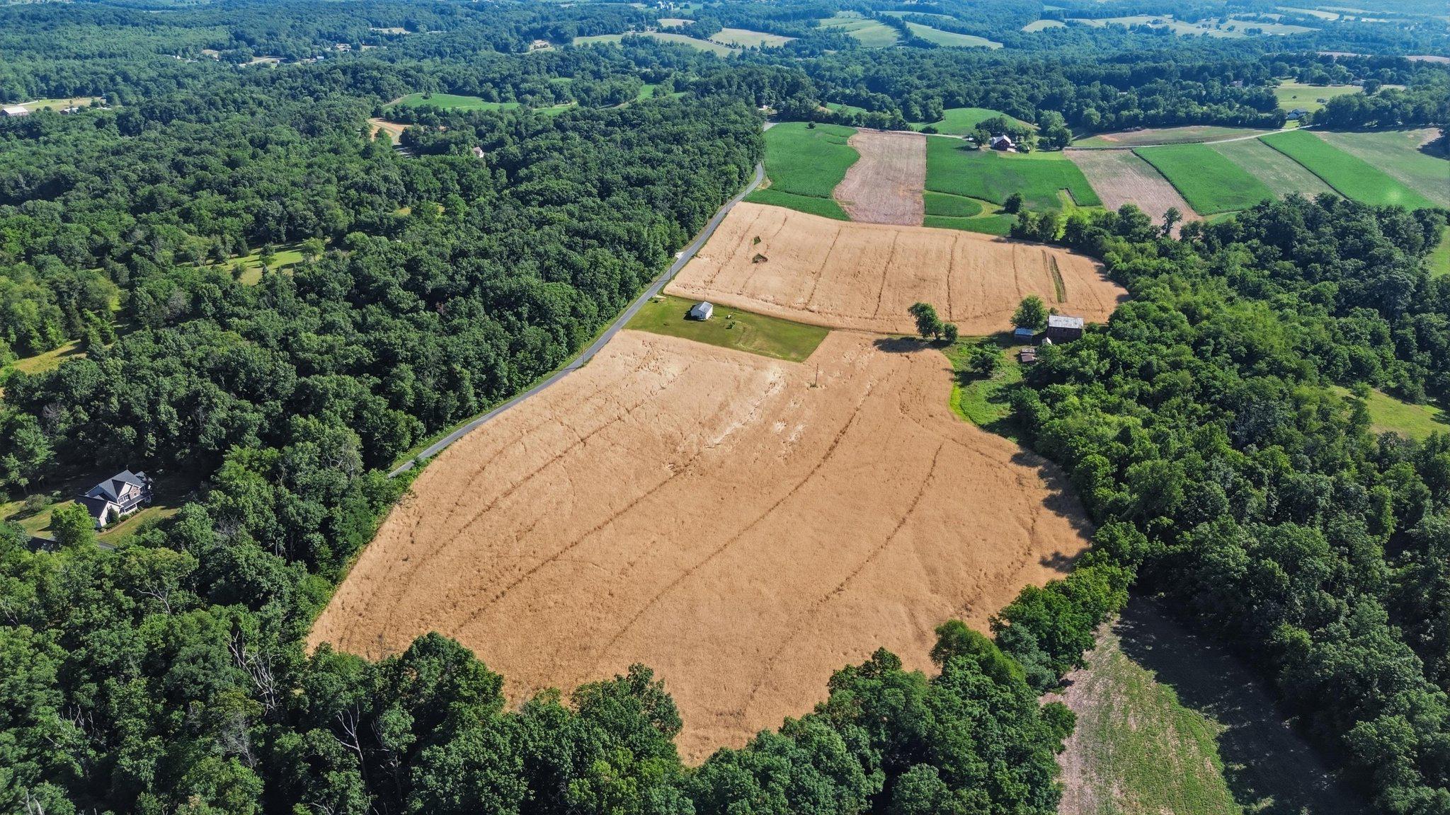 NONE AVAILABLE - Farm