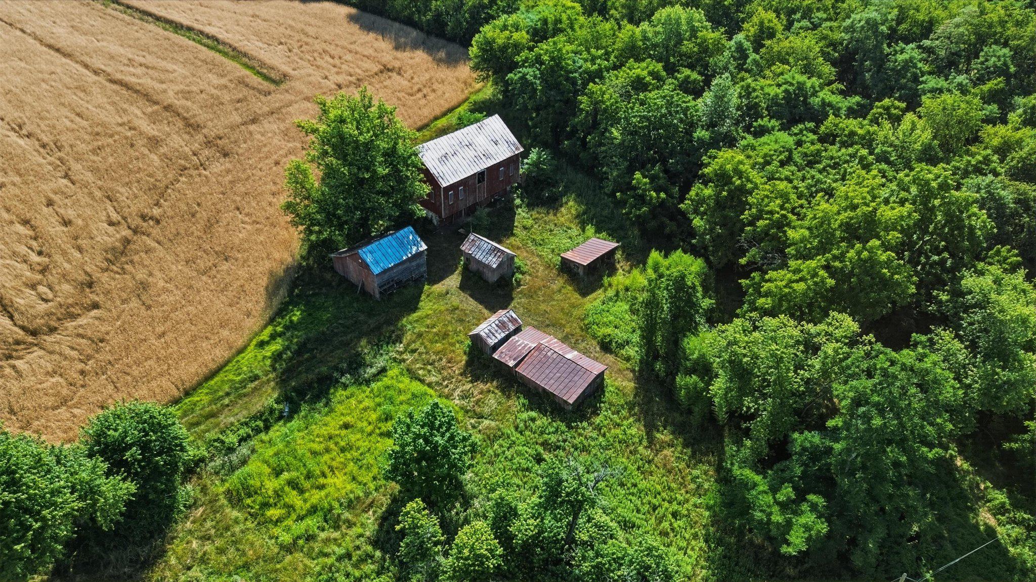 NONE AVAILABLE - Farm