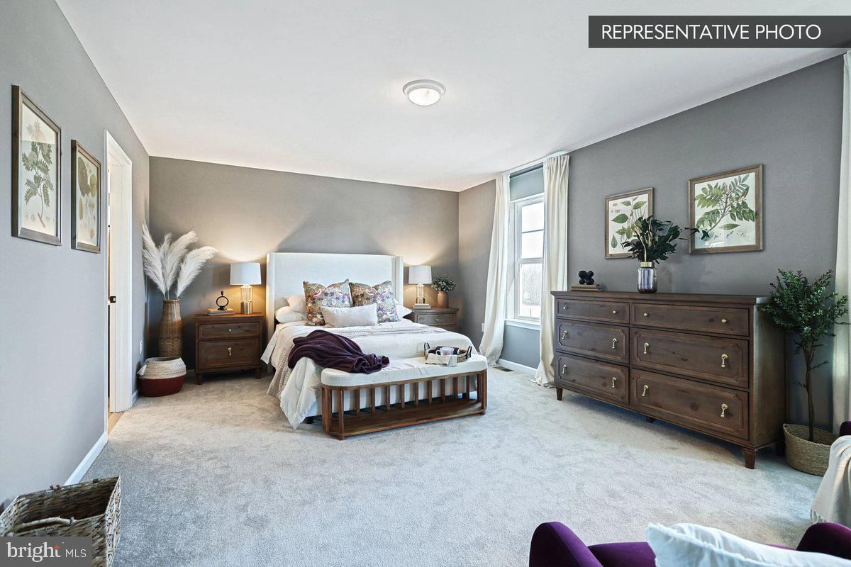 SHADY LANE ESTATES - Residential