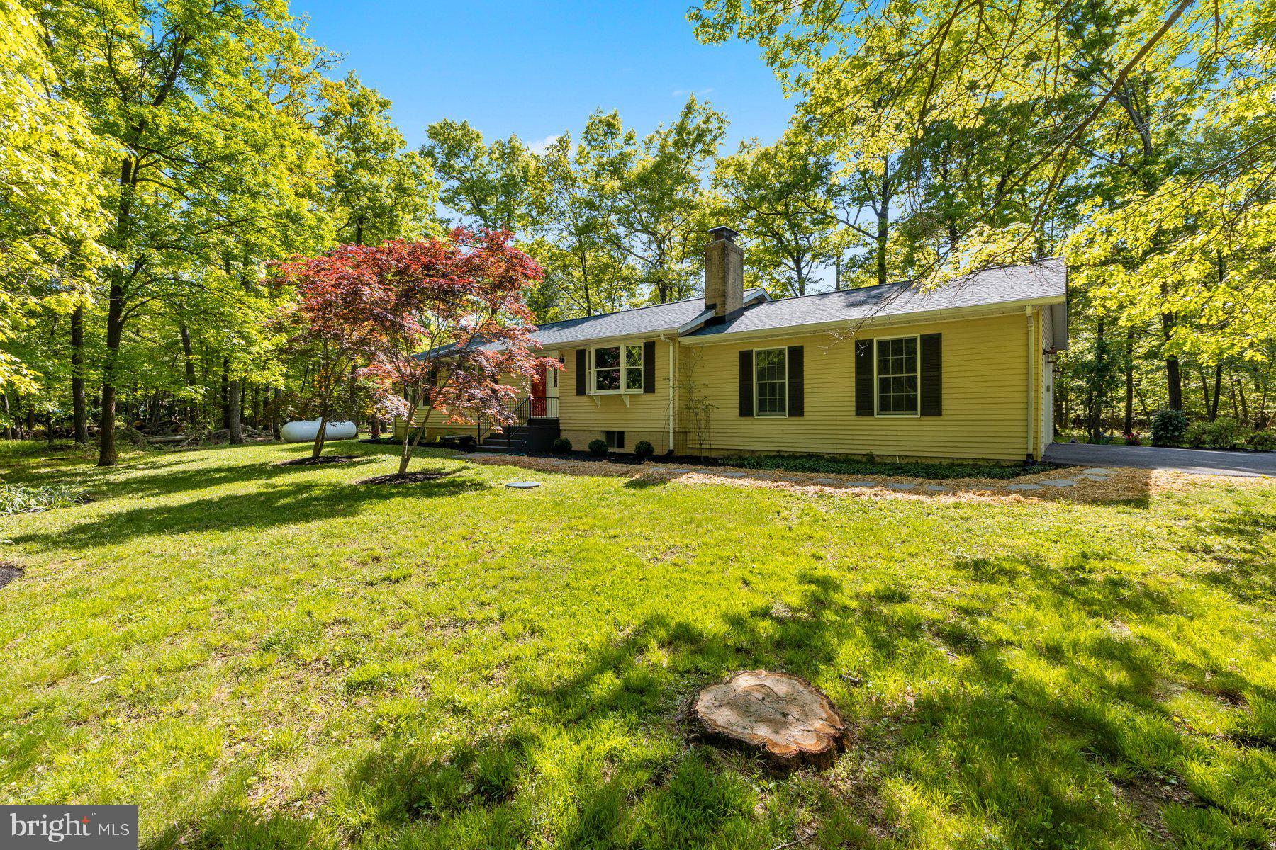 Welcome to 10820 Gambrill Park Road, where privacy, nature, and peace of mind come together on 5.3 beautiful wooded acres just minutes from Frederick.

This move-in-ready ranch home offers comfortable one-level living with 3 bedrooms, 2 full baths, hardwood floors, and flexible finished space in the lower level. Surrounded by mature trees and a tranquil natural setting, the property provides the privacy and outdoor space that are increasingly difficult to find.

The current owners have invested extensively in the home, including a brand-new CertainTeed architectural roof, refinished hardwood flooring, fresh interior and exterior paint, updated porch and patio areas, landscaping improvements, a high-efficiency LPG furnace with privately owned 1,000-gallon propane tank, and numerous additional system and appliance upgrades.

Inside, inviting living spaces are enhanced by both a wood stove and pellet stove, creating warmth and character throughout the seasons. The lower level offers abundant storage, workshop space, recreation space, or future expansion potential.

Outdoor living is equally appealing, with a welcoming front porch, screened patio, and plenty of room to enjoy the natural surroundings. Significant tree removal and land stewardship efforts have improved the health and usability of the property while preserving its wooded charm and privacy.

Pet owners will appreciate the powered pet door and approximately one acre of underground invisible fencing already installed.

Whether you're looking for a peaceful full-time residence, a private retreat, or simply more room to enjoy the outdoors, this well-maintained property offers exceptional value, recent updates, and a setting that feels worlds away while remaining conveniently close to Frederick's amenities, parks, and commuter routes.