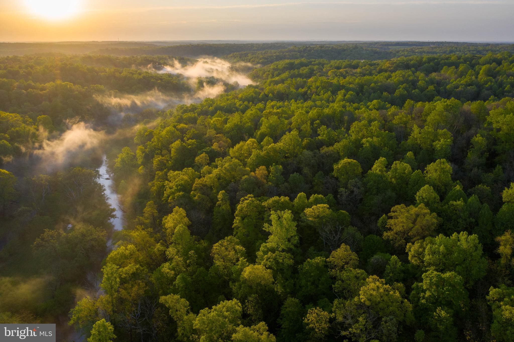 If you've ever dreamed of having your very own waterfront sanctuary or outdoor playground -- look no further!  Ready to get out of the city and have your own retreat less than 40 miles from DC? Located in the heart of Virginia horse and wine country, this 355-acre piece of paradise has more than a mile of Goose Creak frontage, boasts mature hardwoods, walking trails, and elevations that could provide beautiful views to the east and west.  Perfect for hunting, fishing, hiking, trail riding, off-roading, dirt biking. Would make a fantastic nature retreat,  private estate, family compound, wildlife sanctuary. Conveniently located in Aldie, this property is 6 miles to Middleburg; 11 miles to Historic Leesburg and 21 miles to Dulles International Airport. Abounding in wildlife and forestry, this land provides a peaceful setting rarely available these days. Zoned AR-2, this property is NOT in conservation easement. Property is in land use for forestry. Mature hardwoods could be timbered. Property is accessed by way of Old Route 768 off of Oatlands Rd. It is available to be shown BY APPOINTMENT ONLY. NO DRIVE-BYS. Potential buyers must be pre-qualified.