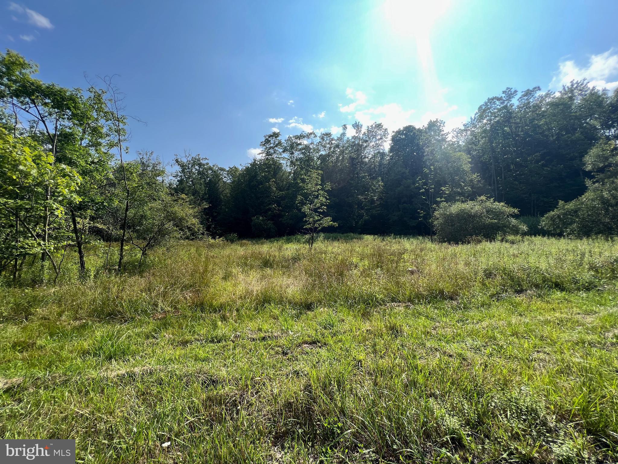 Looking for a place to build a cabin in the woods or a rental home!  This mature wooded property boasts 2 lots totaling 12.95 acres of beautiful land in a tranquil and serene country setting. Take advantage of this spot to be close to it all but feel like you're living in your own personal mountain retreat.