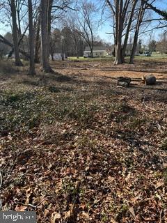 2 Great Building Lots - Sewer Approved on Kent Island , Sewer fee is paid for - Harley Lane Lot #1 Parcel 63 comes with working Well $159,900. An Adjacent Lot #2 Parcel 64 is available. Sewer is also approved with fee paid. $149,900. These approved Lots are registered with Queen Annes County. *****The Harley Lane 2 lot sub division was created by adding 2 lots on land owned on Good hand creek road. Entrance to lots is from Harley lane left turn from Dominion road
