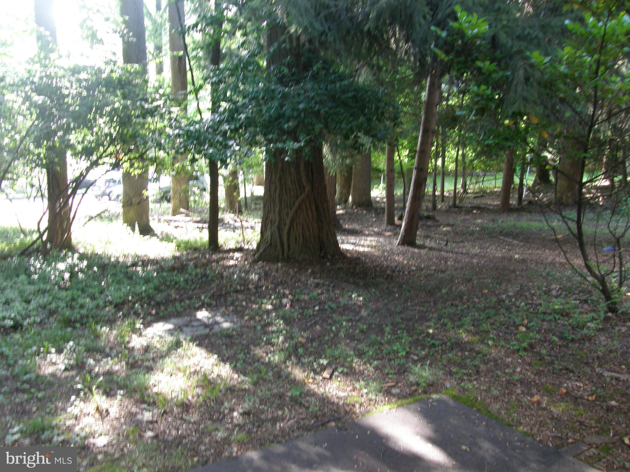 PARKSIDE CONDOMINIUMS - Residential Lease