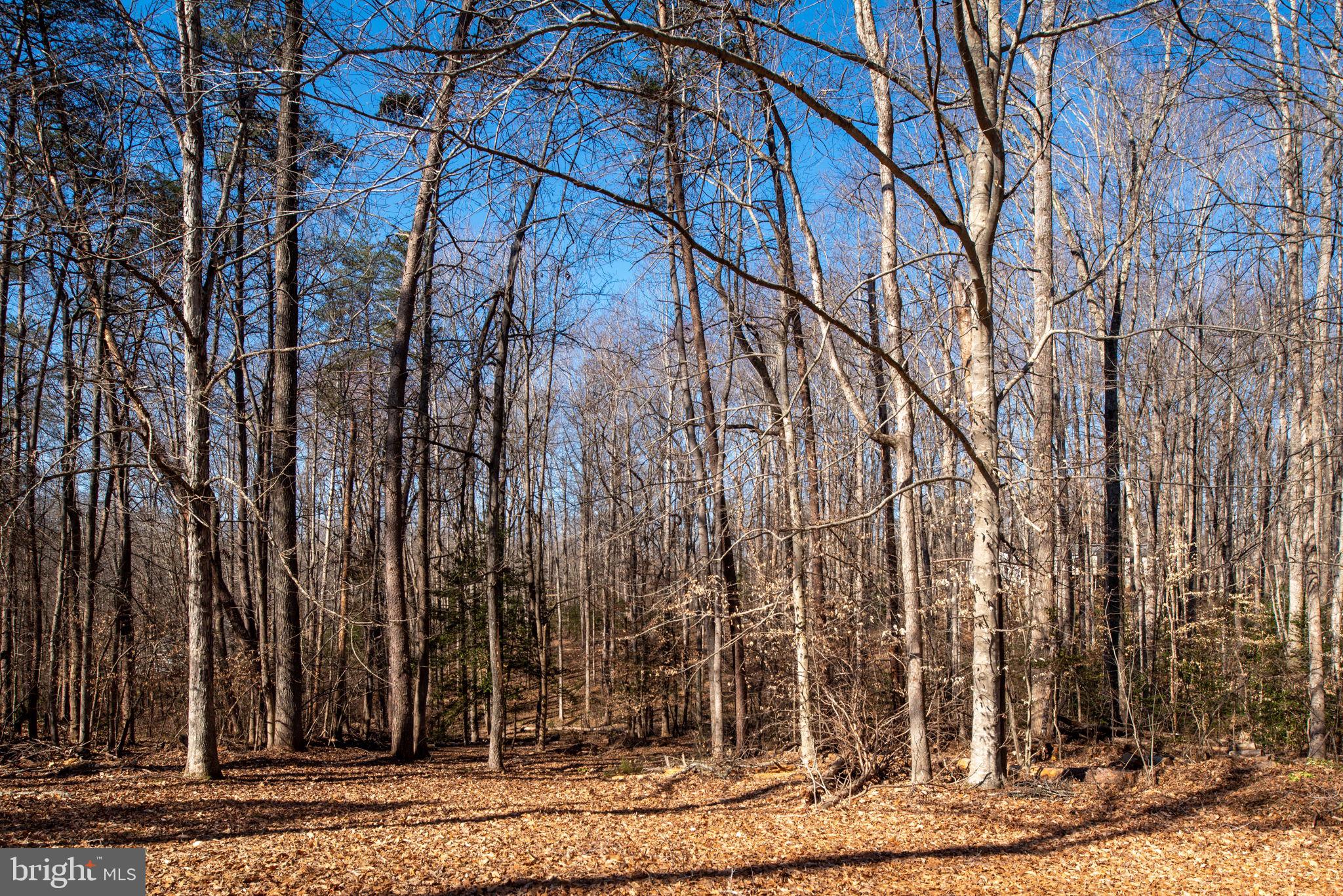 BERKSHIRE - Residential
