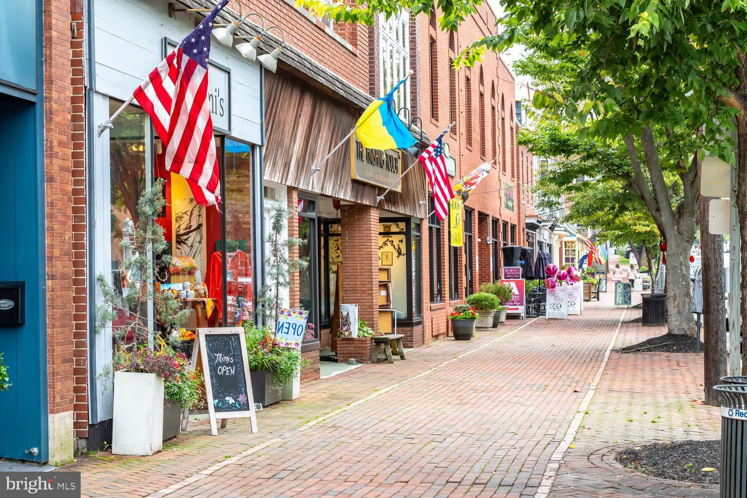 HISTORIC CHESTERTOWN - Residential