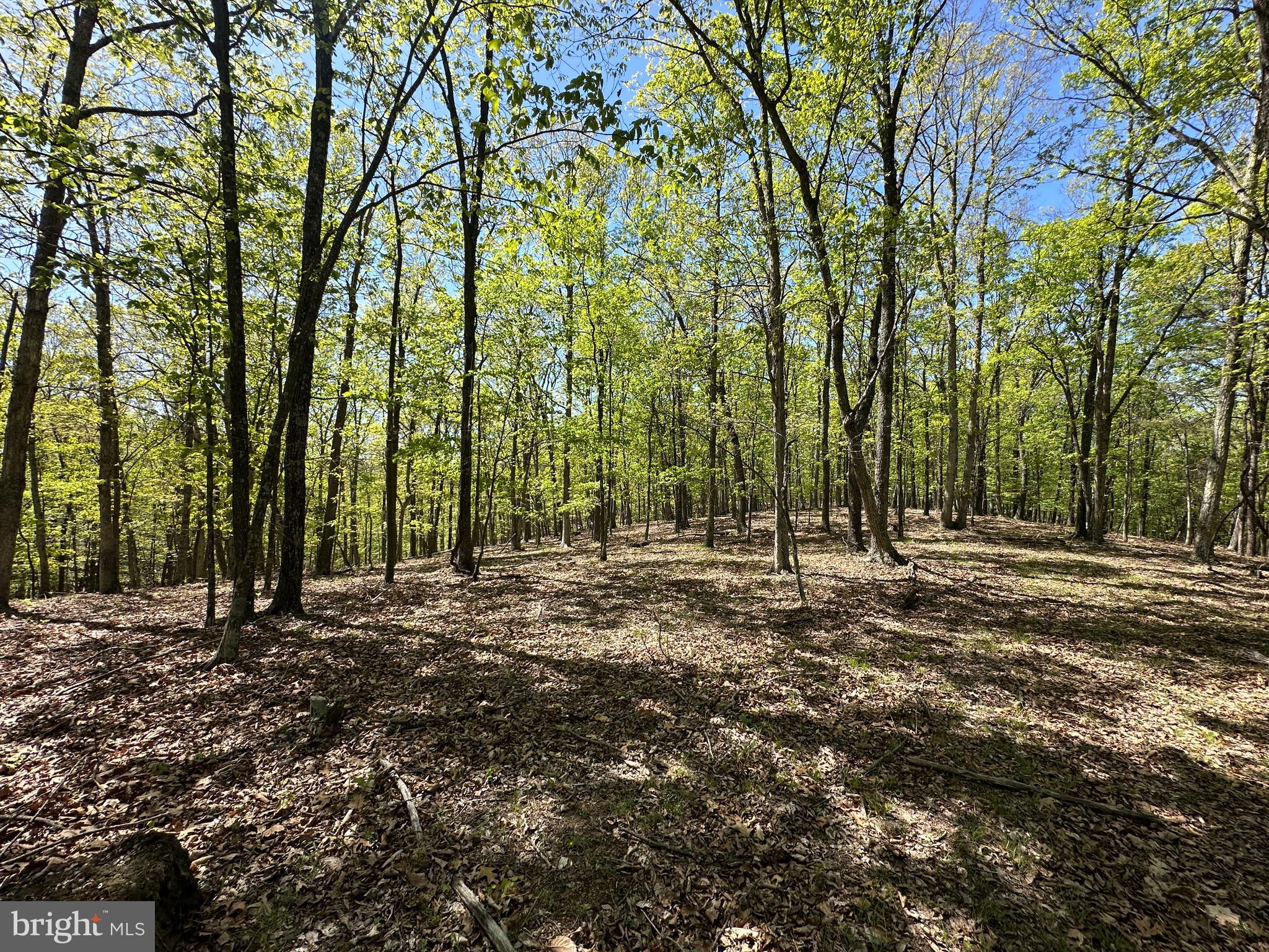 SHADOW KNOLLS - Land