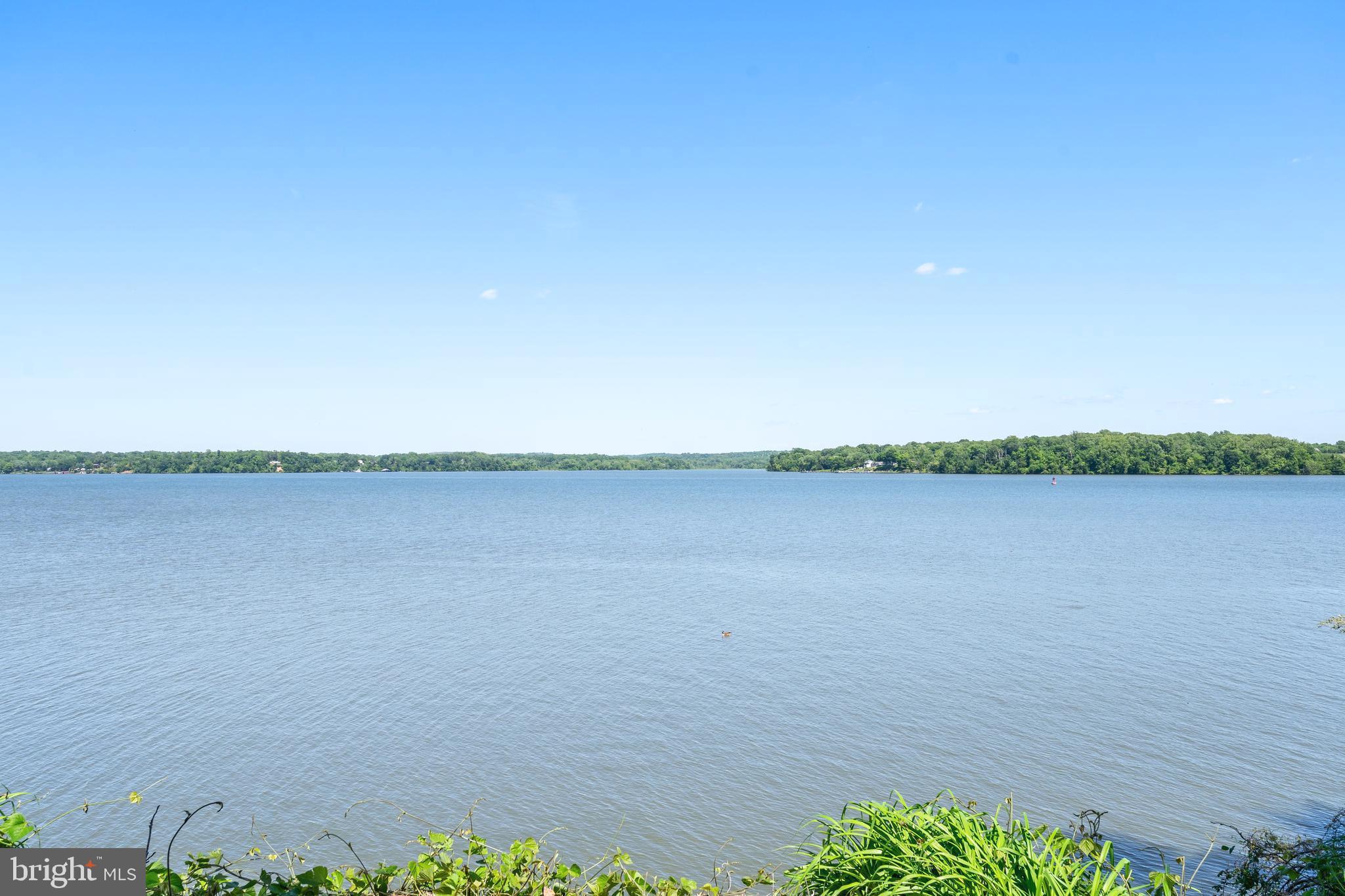 ARCTURUS ON THE POTOMAC - Residential