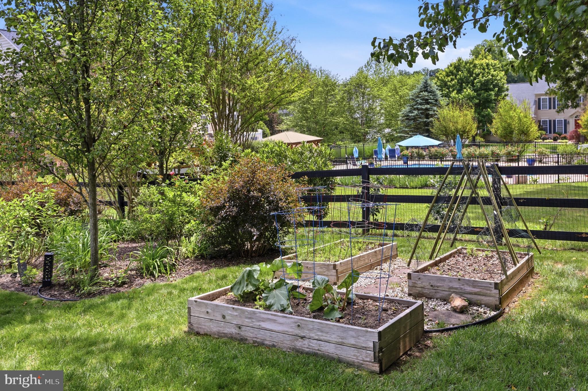 THE WOODS AT WARRENTON - Residential