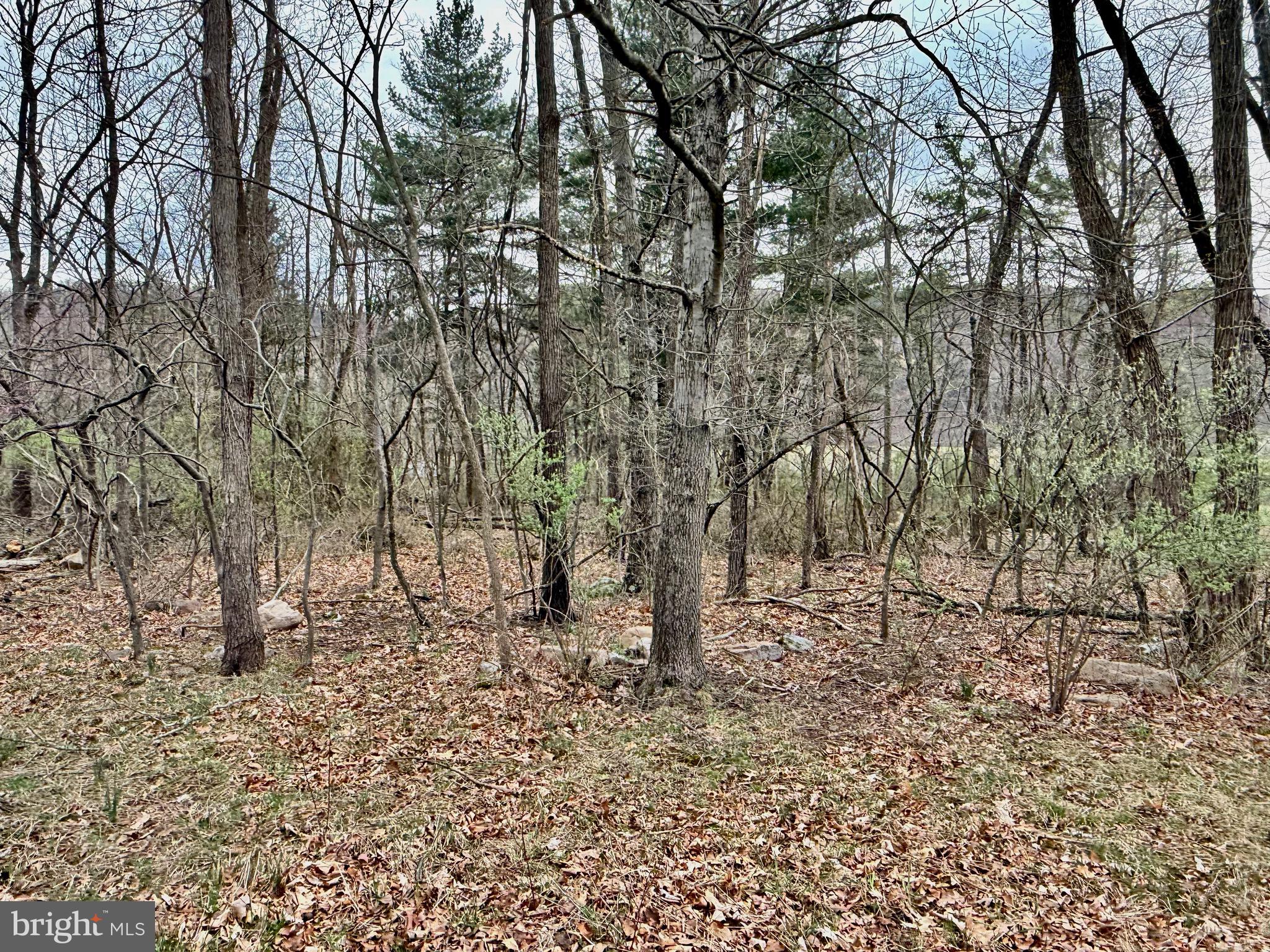 PRIME  LOT IN THE PRESTIGIOUS TIMBERLAKE ESTATES SUBDIVISION. HARD SURFACE ROAD FRONTAGE. FULLY WOODED LEVEL LOT. UNDERGROUND ELECTRIC AND PUBLIC WATER AVAILABLE ON SITE.