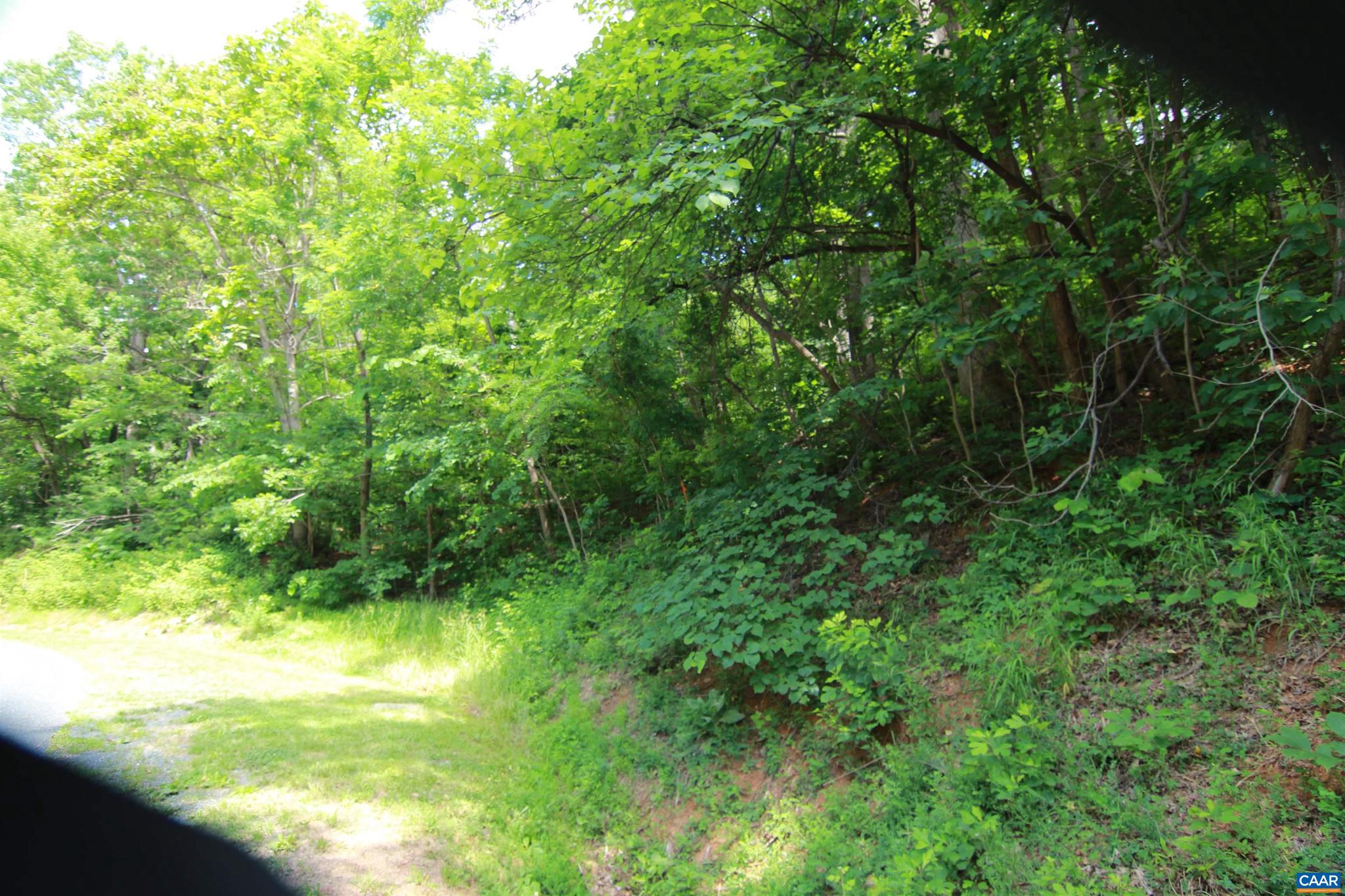 Create your own Wintergreen home on this large wooded site near the top of Crawford Knob on Black Walnut Dr.  It is high enough above the Rockfish Valley to allow some seasonal views during the winter months, and shaded enough to allow cooler temperatures in the summer.  This is an established neighborhood with homes ranging to two and a half million dollars.  There are paved roads accessing the lot and underground electric, telephone, cable and fiber optic are available at the street.  Add your own well and septic system at construction to suit the size of your home.  Soil studies are available on request. The Front corners are marked with fluorescent orange tape to make it easy to locate the lot.