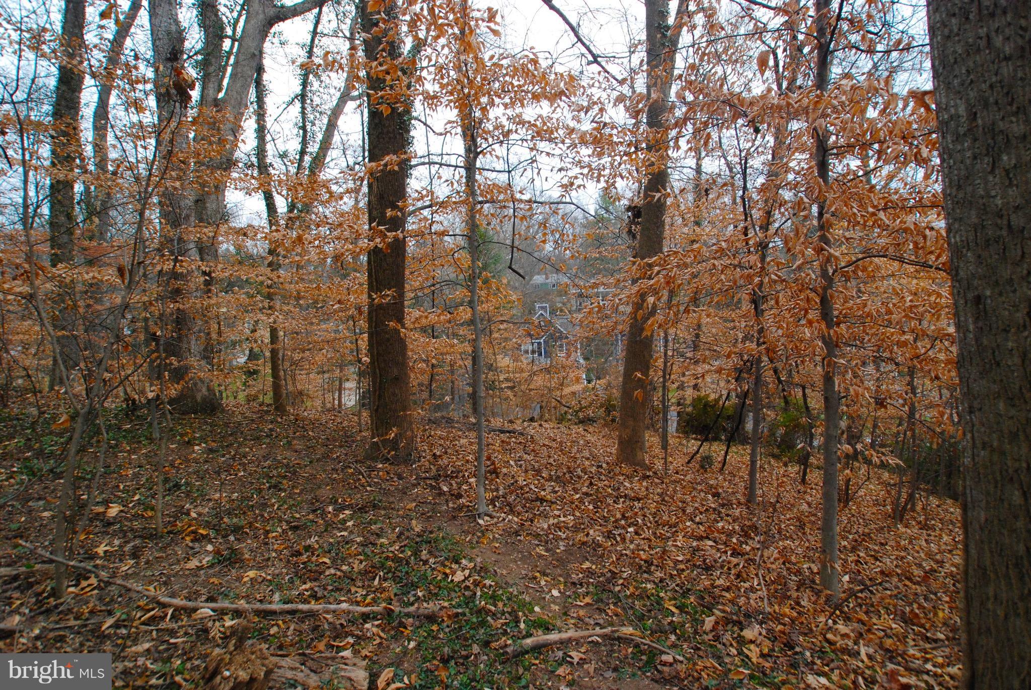 Generous .37-acre build-able lot in the heart of Glen Echo Heights, surrounded by new homes valued up to $2.2 Million. Sloping terrain provides for privacy & treetop views. Property can be accessed from steps/driveway to house next door (6305 -same owner, house not for sale). Steps to Glen Echo Park, C&O canal towpath, Potomac River. Whitman cluster. Gas, water and public sewer hook-up available.