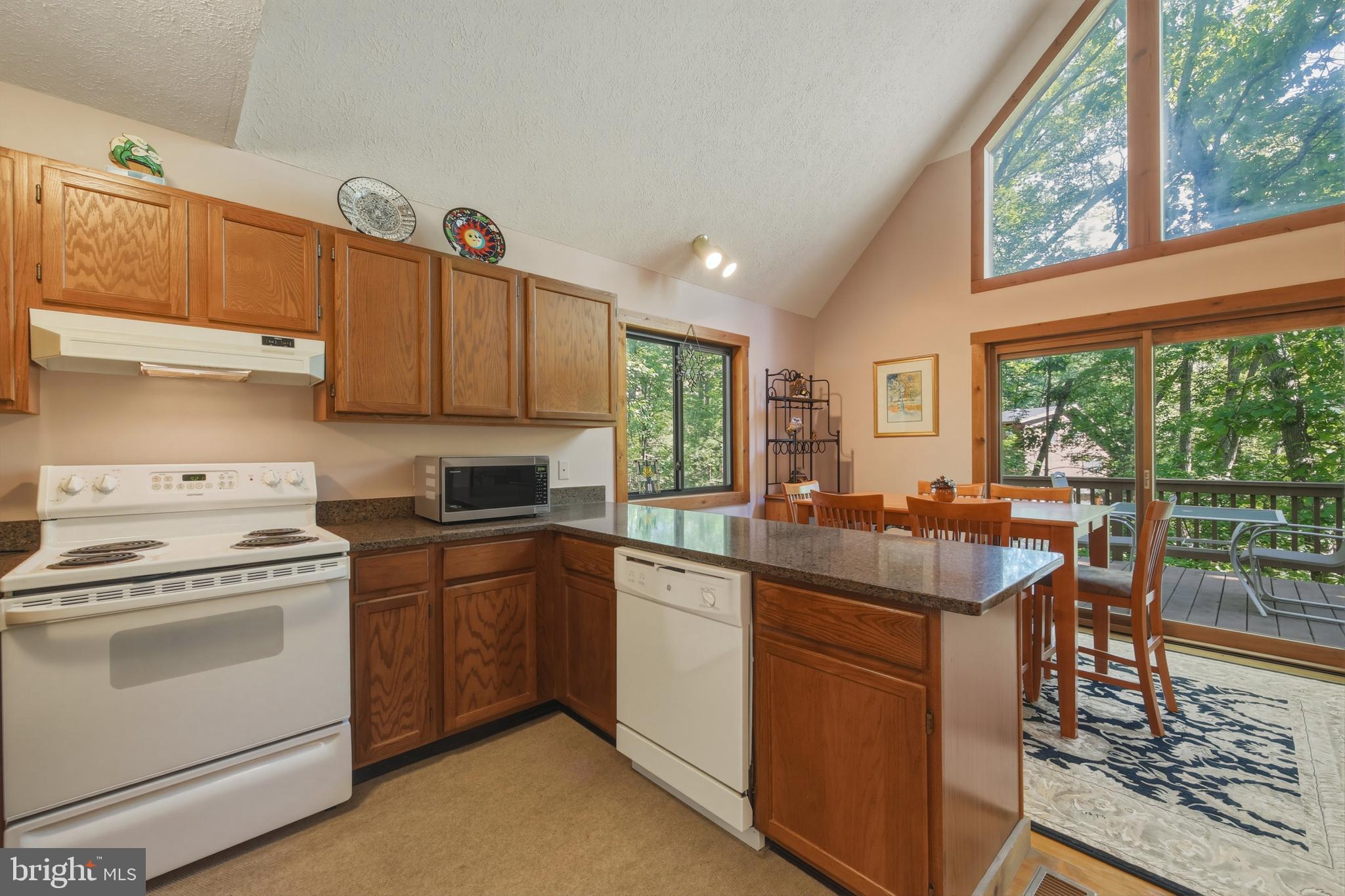 BRYCE  MOUNTAIN  RESORT - Residential