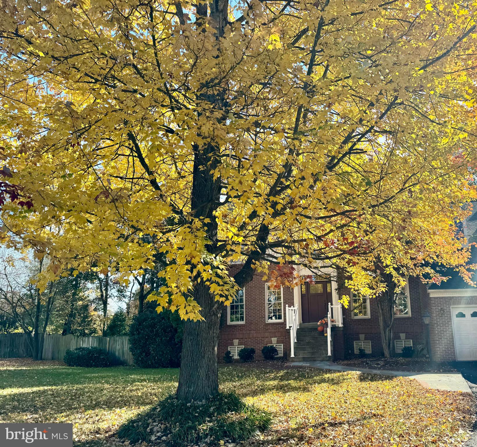 POPLAR TREE ESTATES - Residential