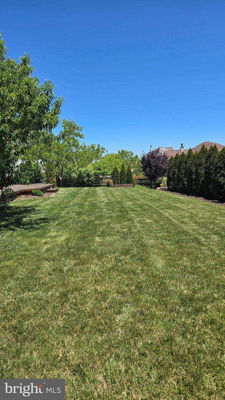ARCADIA SPRINGS - Residential