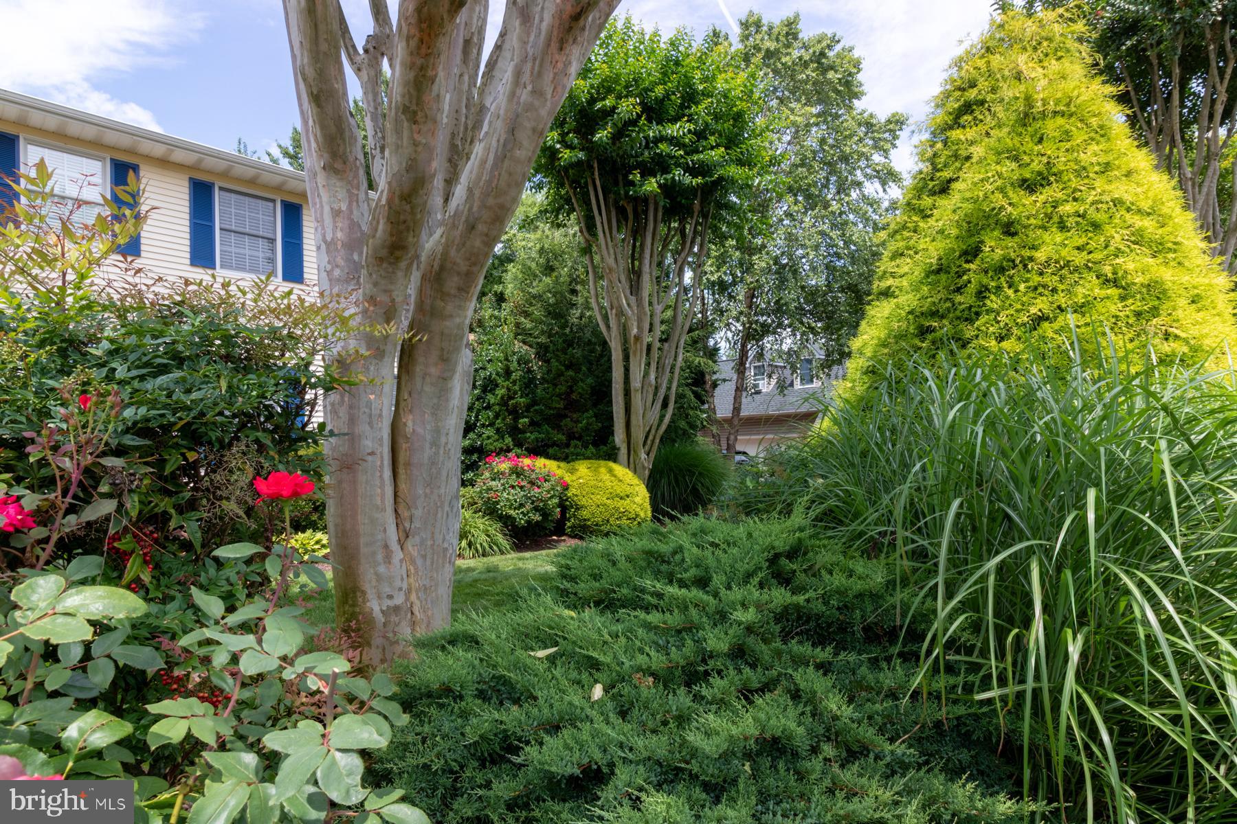 REHOBOTH BEACH - Residential