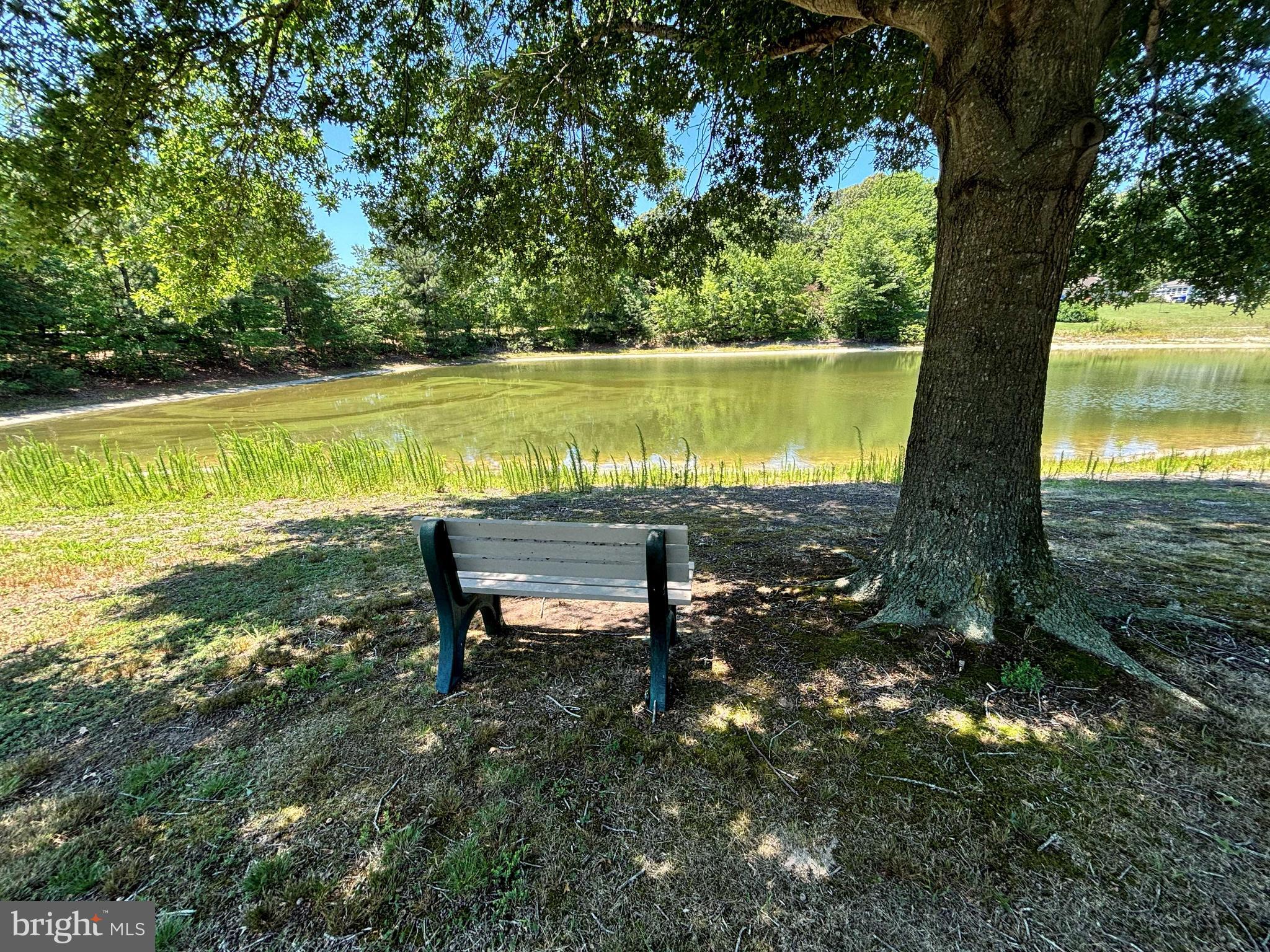 LAZY LAKE - Residential