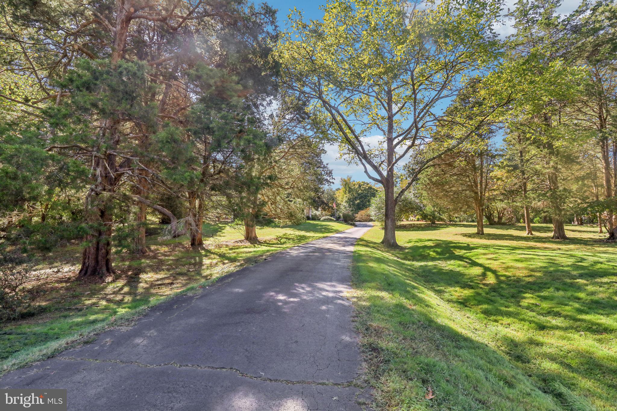 SPRINGFIELD FARMS - Residential