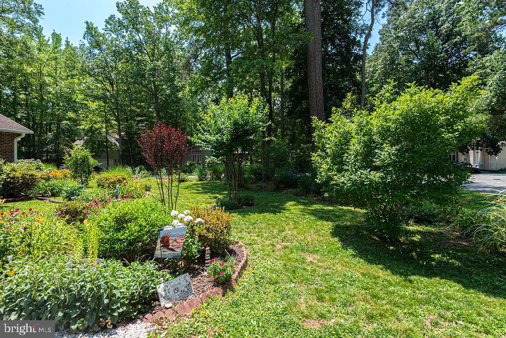 OCEAN PINES - BAINBRIDGE - Residential