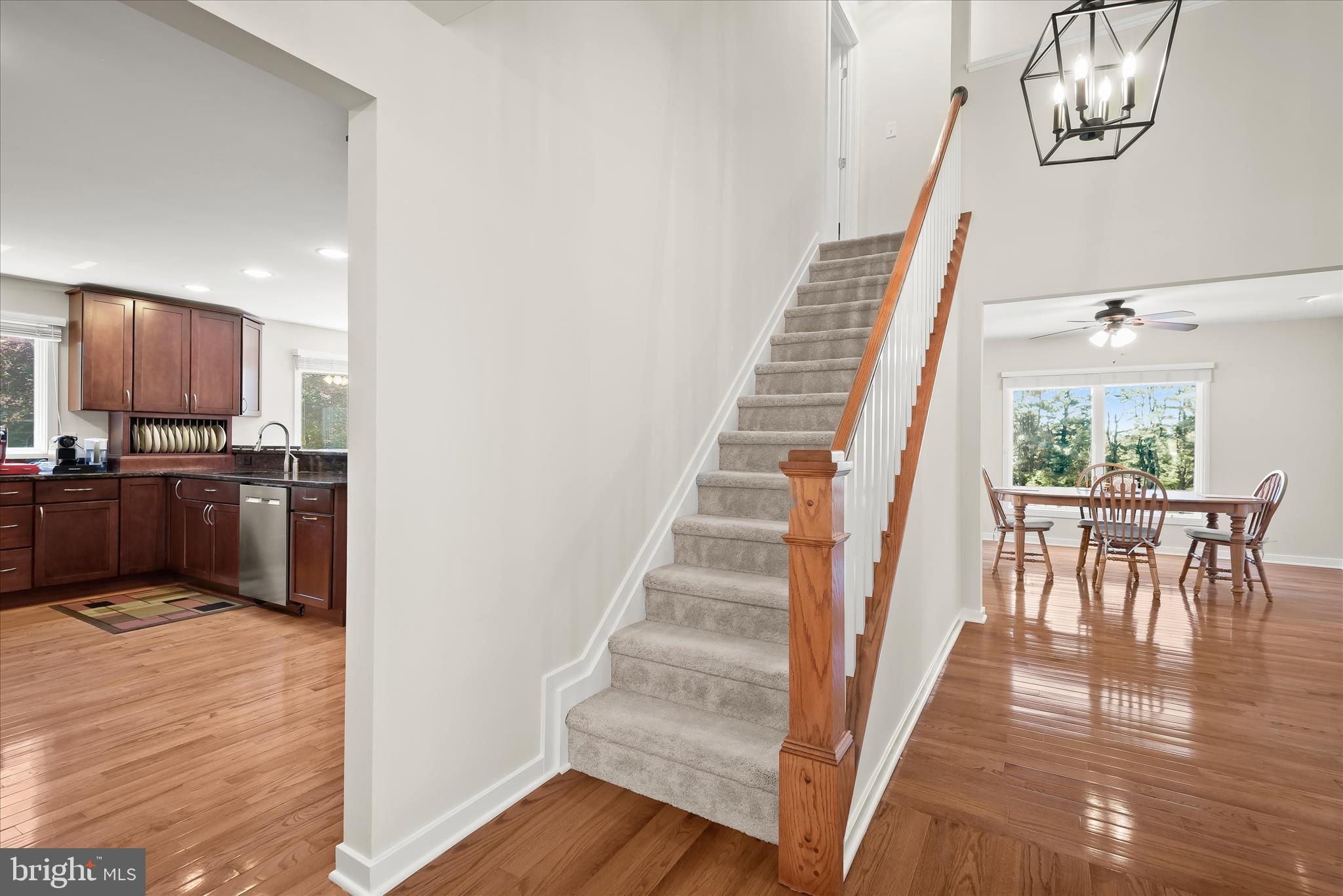 TRIADELPHIA FARMS - Residential