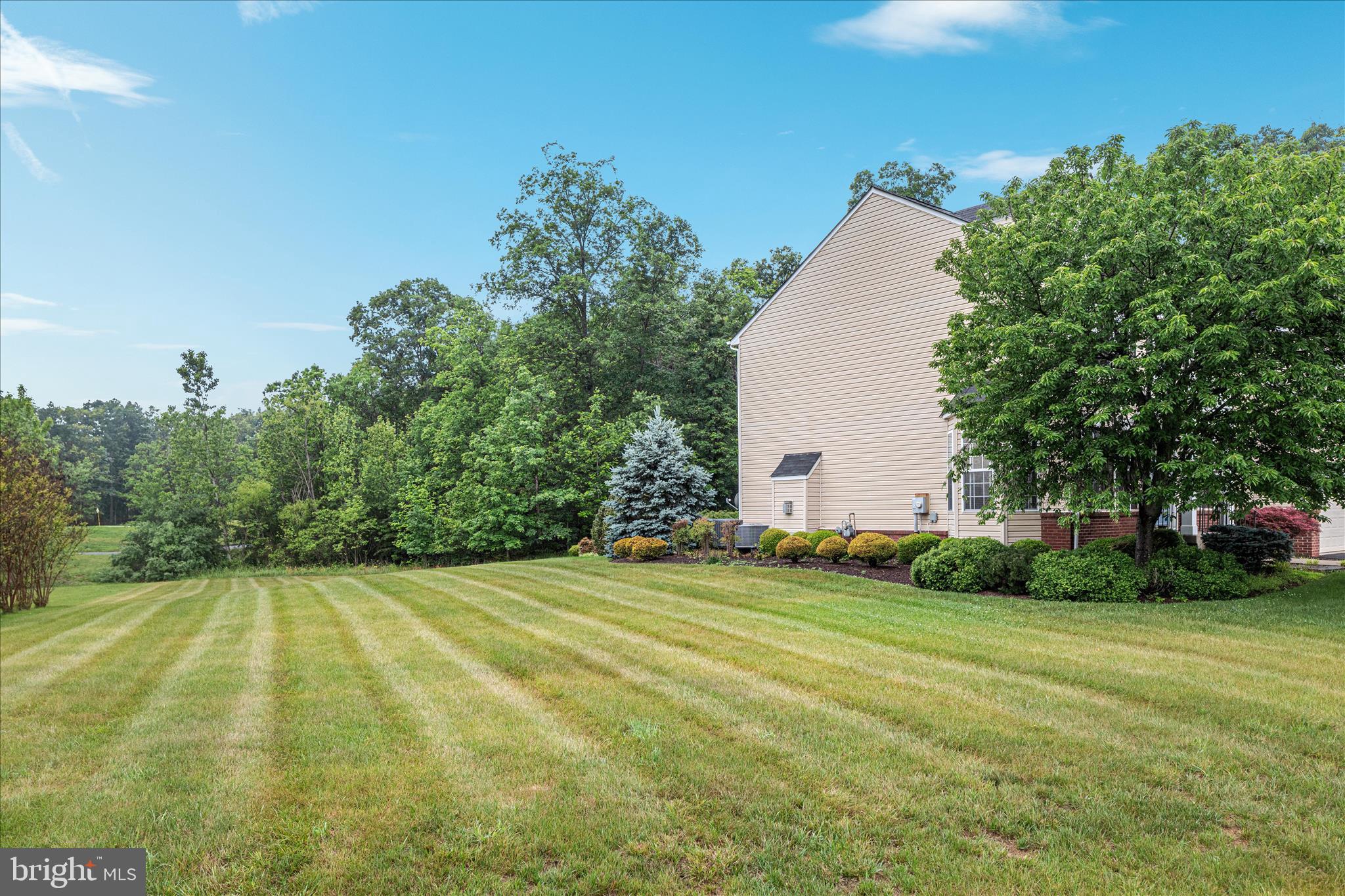 BLUE RIDGE SHADOWS - Residential
