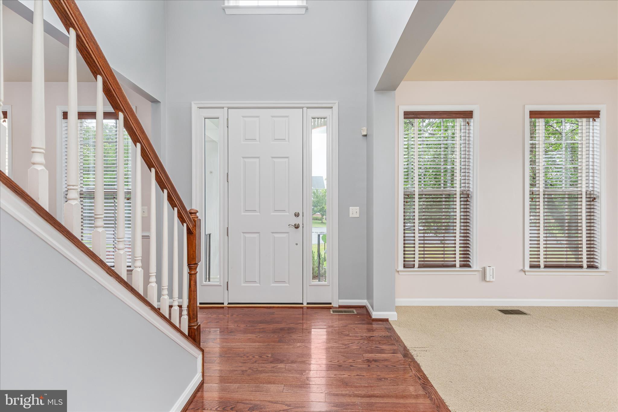 BLUE RIDGE SHADOWS - Residential