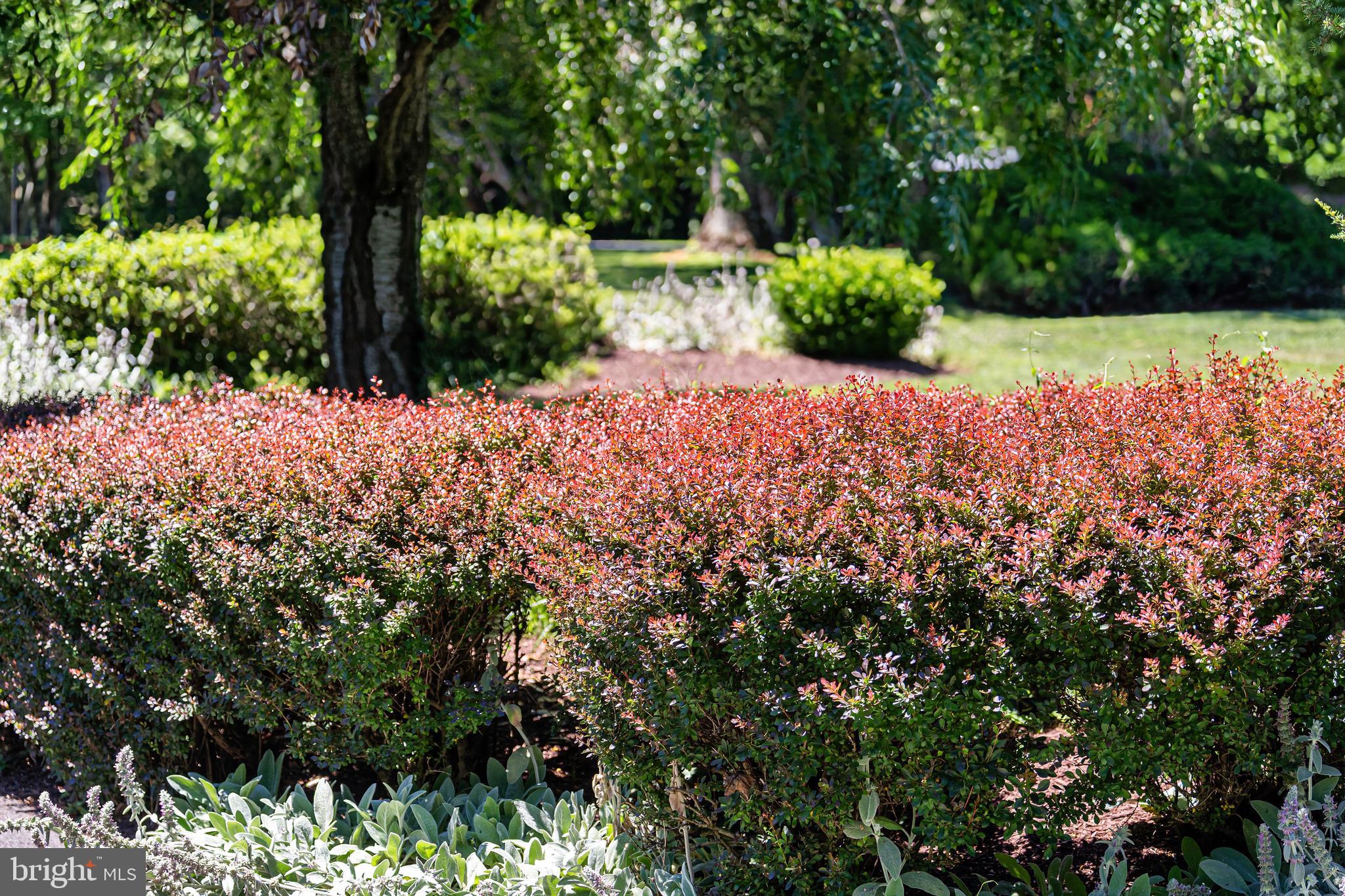 SADDLE RIDGE - Residential