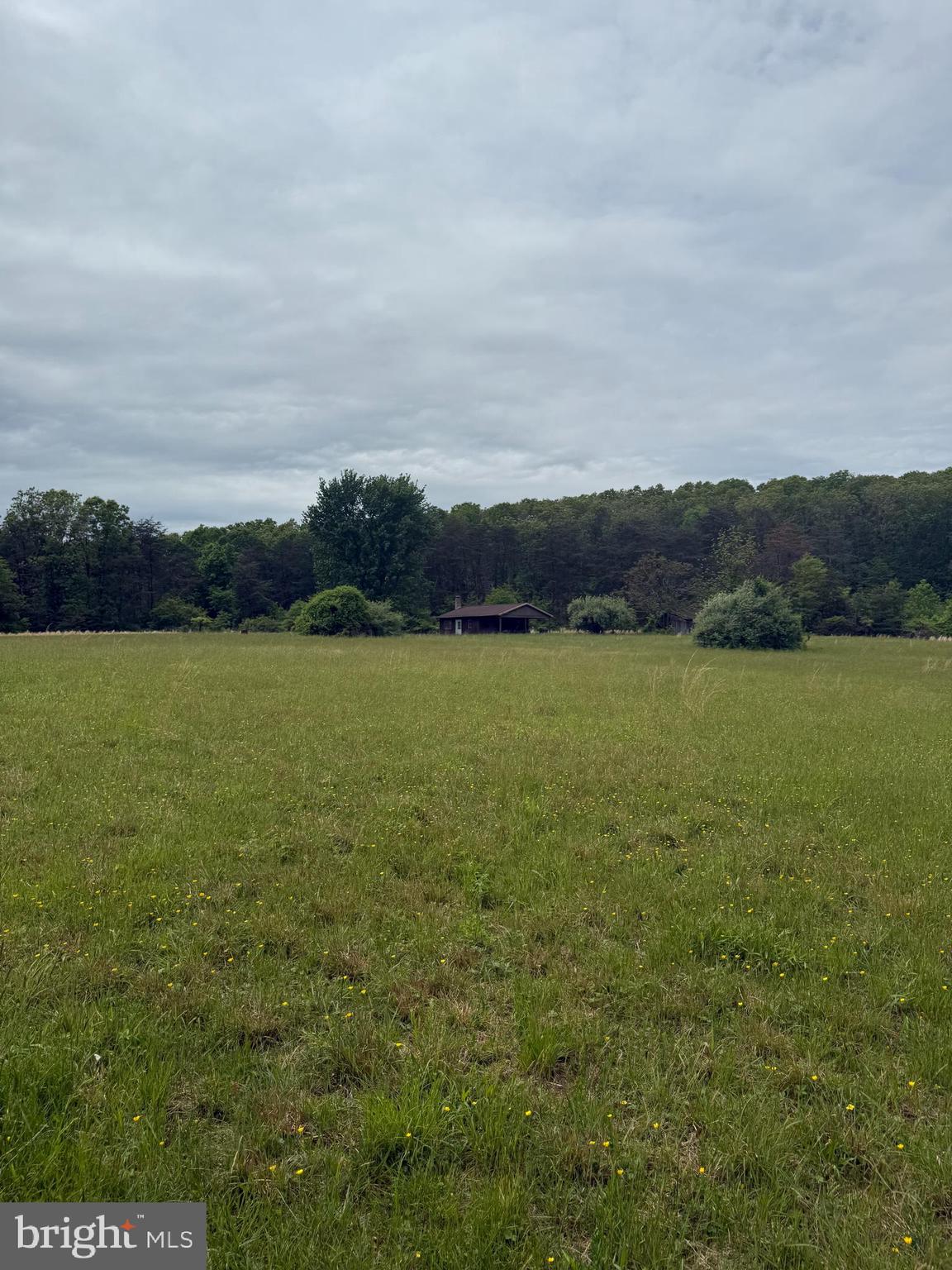 Nestled in the rolling hills of Hedgesville, this 42.05-acre retreat offers the ultimate getaway for outdoor enthusiasts, homesteaders, or anyone seeking peace and privacy. A true hunter’s haven, the property features a mix of open fields and dense woodlands—ideal for a variety of game, including white-tailed deer, wild turkey, black bear, and small game such as squirrel and rabbit.

Tucked away nearly a mile off the main road, this secluded property is accessed via a shared right-of-way, ensuring privacy and a true back-to-nature experience. Whether you're looking for a weekend escape or permanent residence, the existing 2-bedroom, 1-bath home offers a comfortable starting point with potential for renovation or expansion.

With abundant space, the land also offers opportunities for livestock, hobby farming, or establishing a self-sufficient homestead. If you're seeking land that offers recreation, relaxation, and rural charm—this is it.