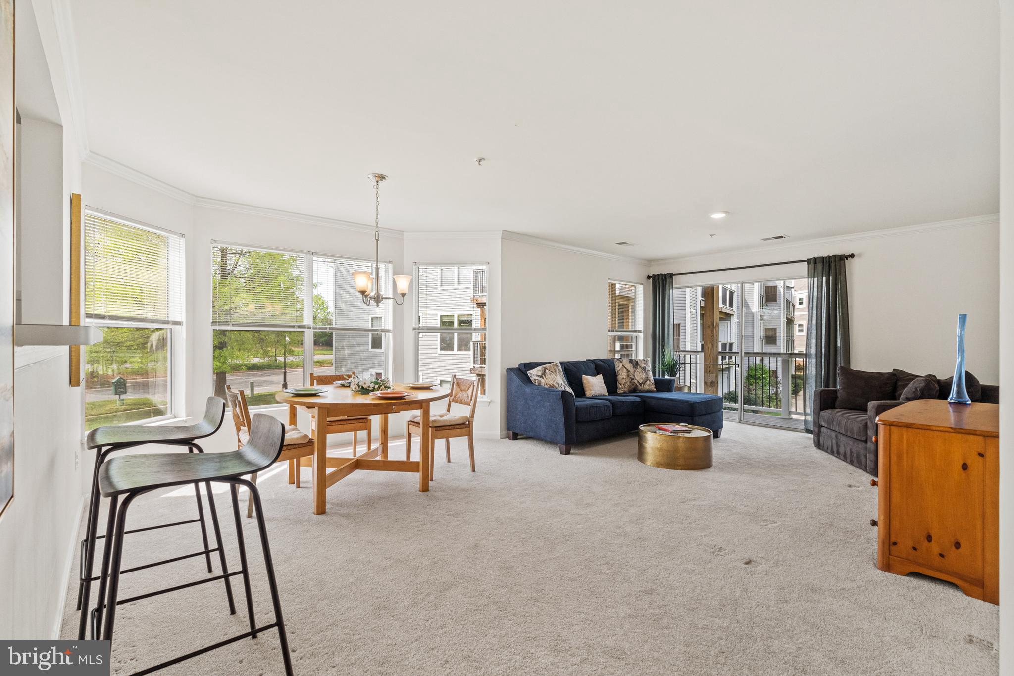 ASHBURN VILLAGE - Residential