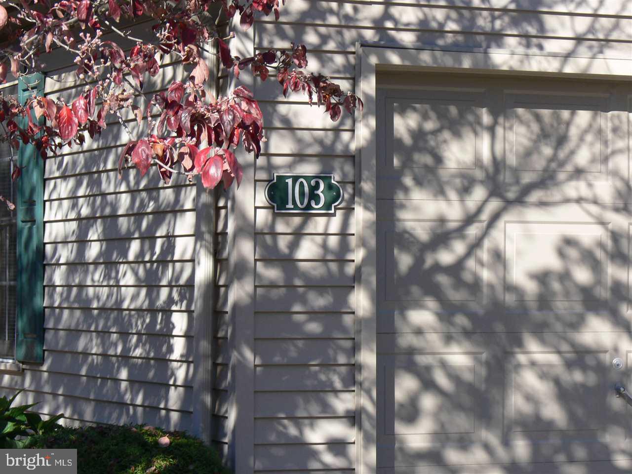 OAK VILLAGE CONDOS - Residential
