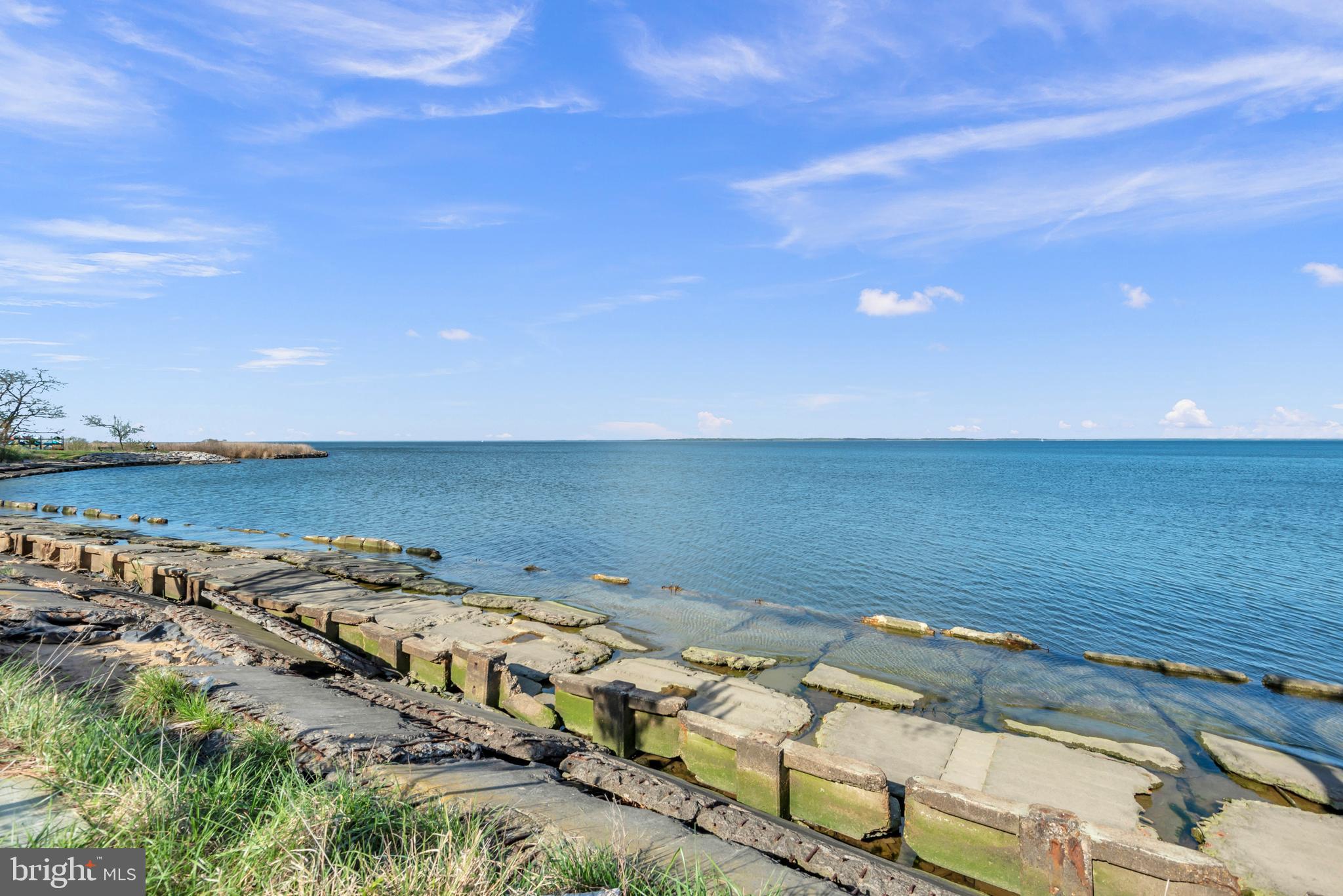 FOUR SEASONS AT KENT ISLAND - Residential