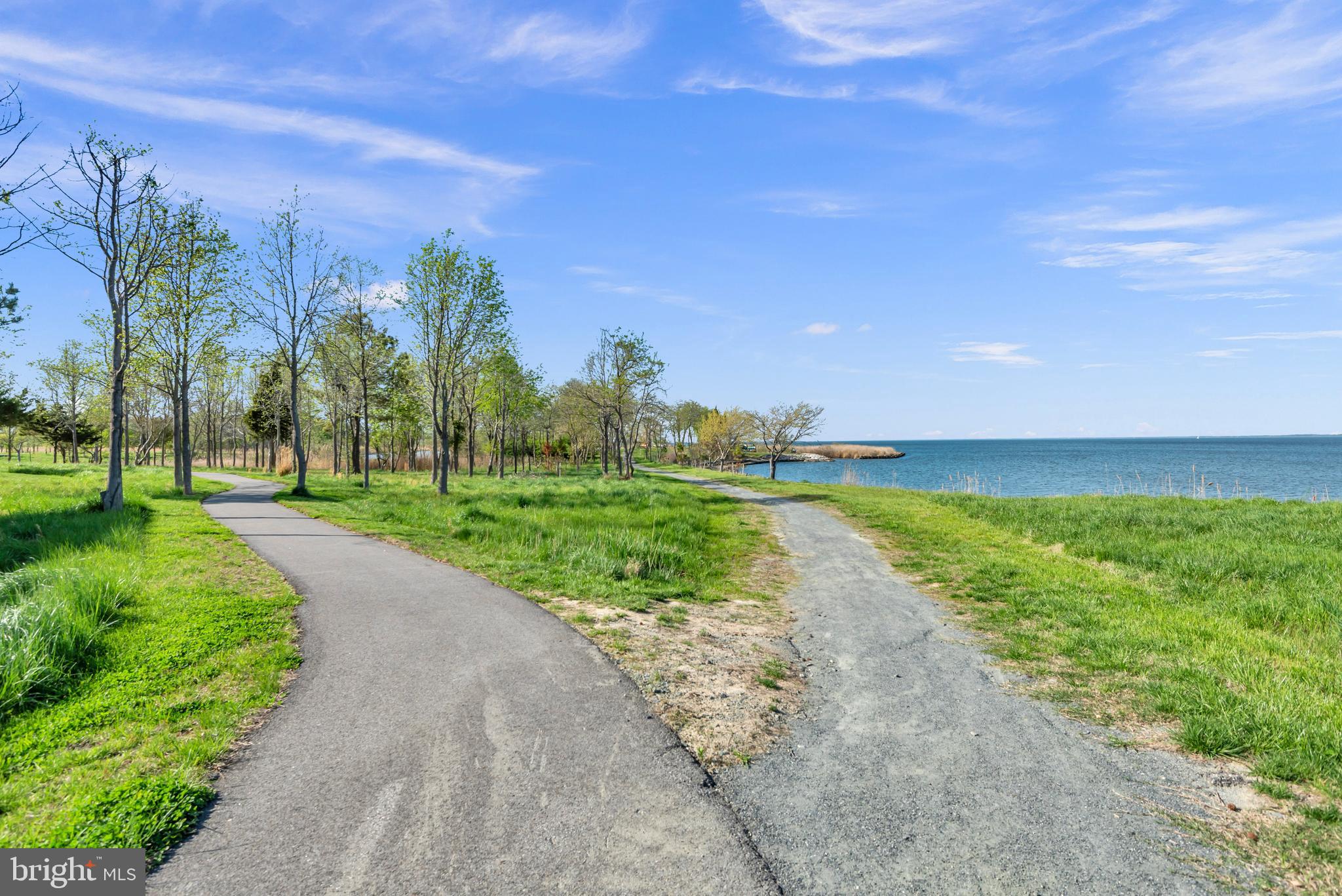 FOUR SEASONS AT KENT ISLAND - Residential