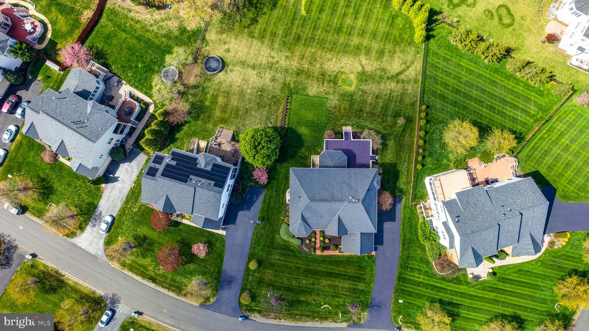 BELLE TERRA - Residential