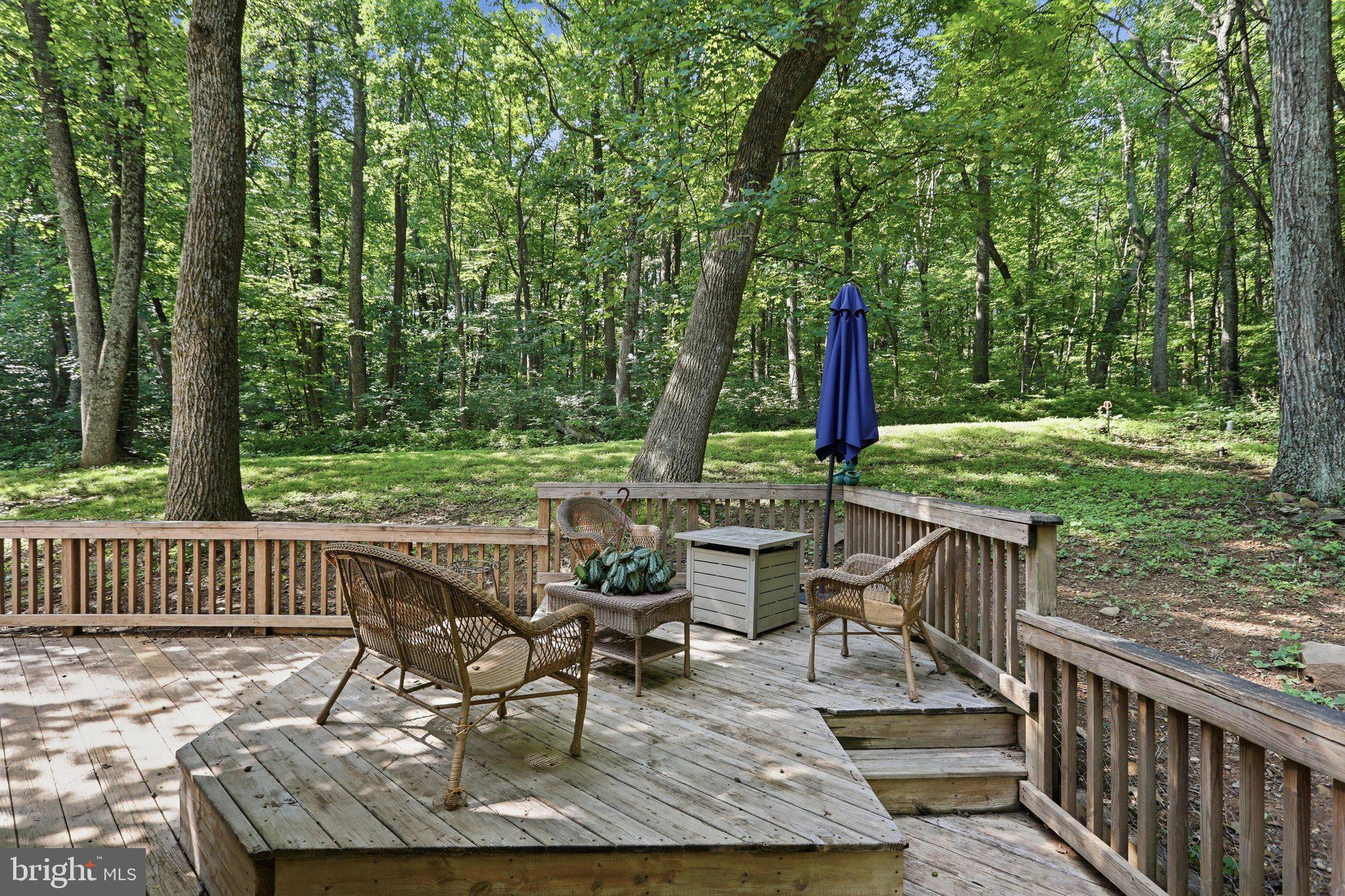 BLUE MOUNTAIN/SHEN. FARM - Residential