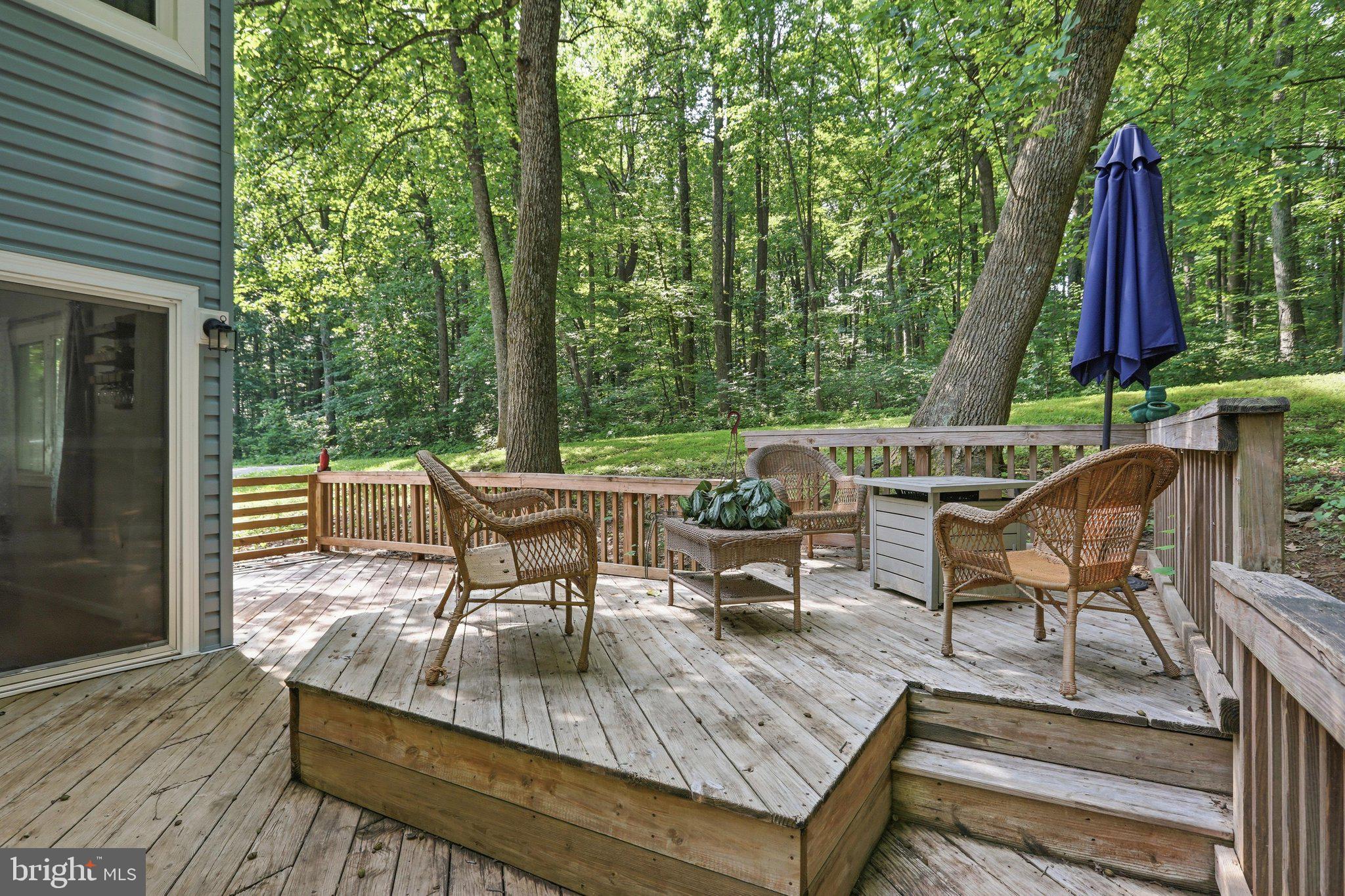 BLUE MOUNTAIN/SHEN. FARM - Residential