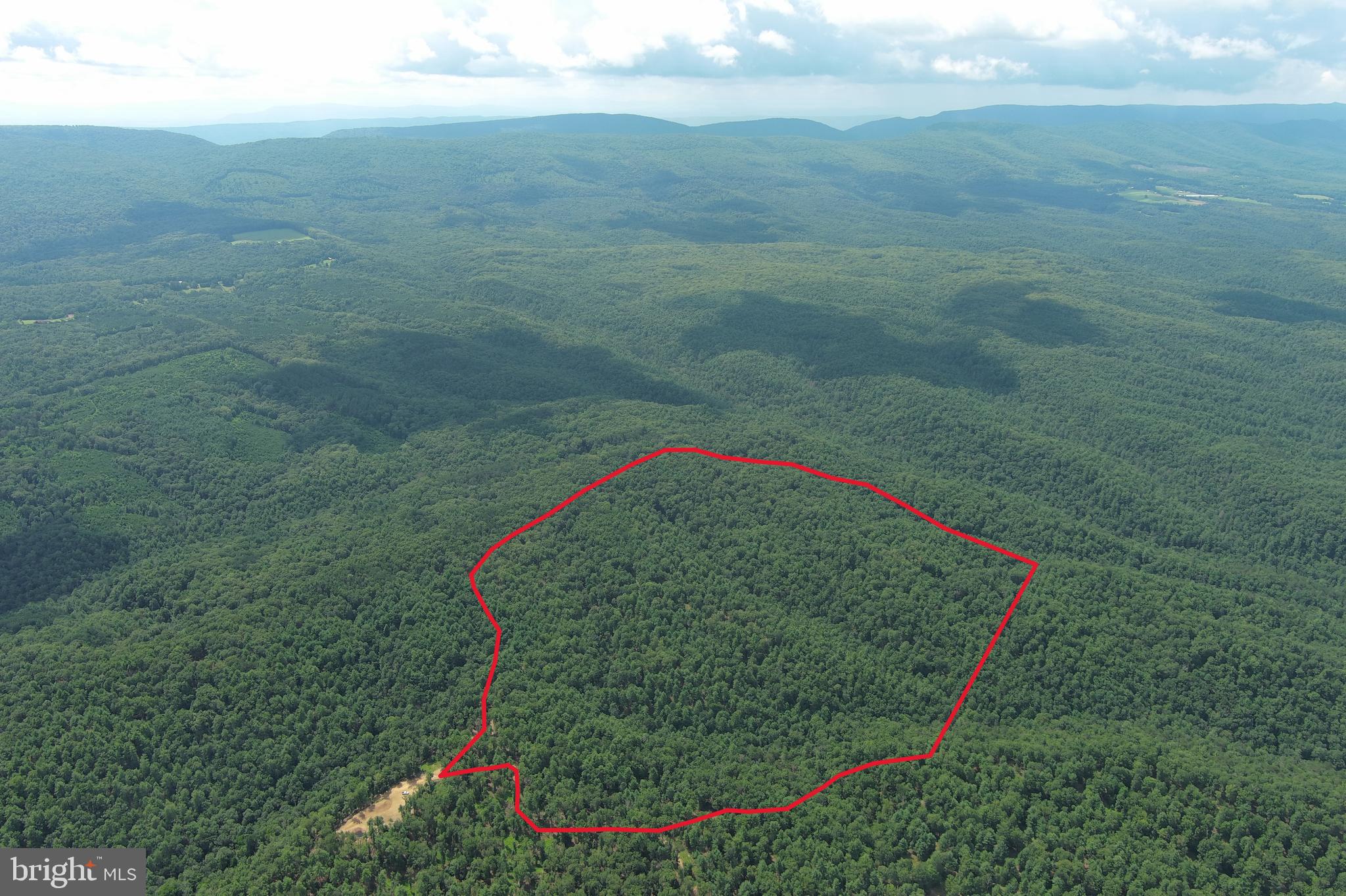 USER FRIENDLY....113 ACRES OF GENTLE ROLLING FOREST, COVERED IN WHITE PINES & HARDWOODS.....GREAT BUILD SITE WITH 180 DEGREE MOUNTAIN VIEWS....1.5 MILES OF ROAD AROUND THE PERIMETER OF THIS TRACT, YOU CAN LITERALLY DRIVE AROUND ALL BUT 1129 FT OF THE BOUNDARY AND IT'S LOADED WITH INTERNAL TRAILS....ACCESS TO ALL PARTS OF THE PROPERTY.....EASY TO GET THAT BIG BUCK OR BEAR OUT OF THE TIMBER.....UNLIMITED ATV TRAILS....HIKE THE ENTIRE PROPERTY WITHOUT BREAKING A SWEAT......EASY TO GET TO BUT HARD TO FIND.....LESS THAN A 1/2 MILE OFF THE PAVED ROAD BUT FEELS LIKE YOU'RE 10 MILES DEEP IN THE WILDERNESS. HUNT, SHOOT, CAMP OR BUILD.....LIKE TO FISH? ONLY A FEW MILES TO MULTIPLE PUBLIC ACCESS POINTS ON THE CACAPON RIVER AND ACCESS TO THE GEORGE WASHINGTON NATIONAL FOREST. LESS THAN 15 MINUTES FROM THE THRIVING VILLAGE OF WARDENSVILLE, 35 MINUTES FROM WINCHESTER, VA AND 110 MILES FROM THE WHITE HOUSE! THE DRIVE FROM DC BELTWAY IS A BREEZE. NO HOA AND MINIMAL DEED RESTRICTIONS. LET THIS OUTDOOR OASIS QUENCH THE THIRST OF YOUR WILD SIDE!