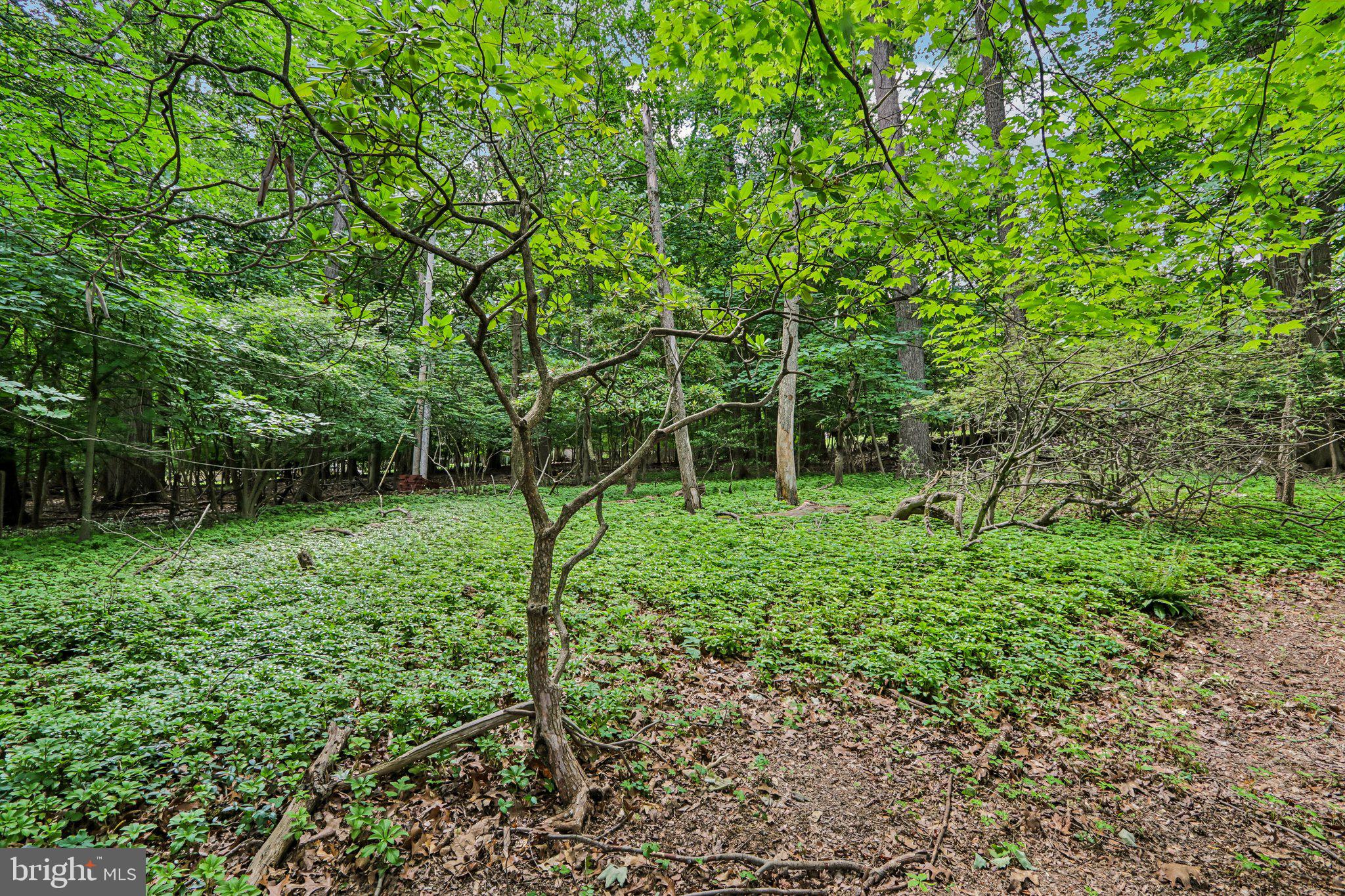 ROBERTS PARK - Residential