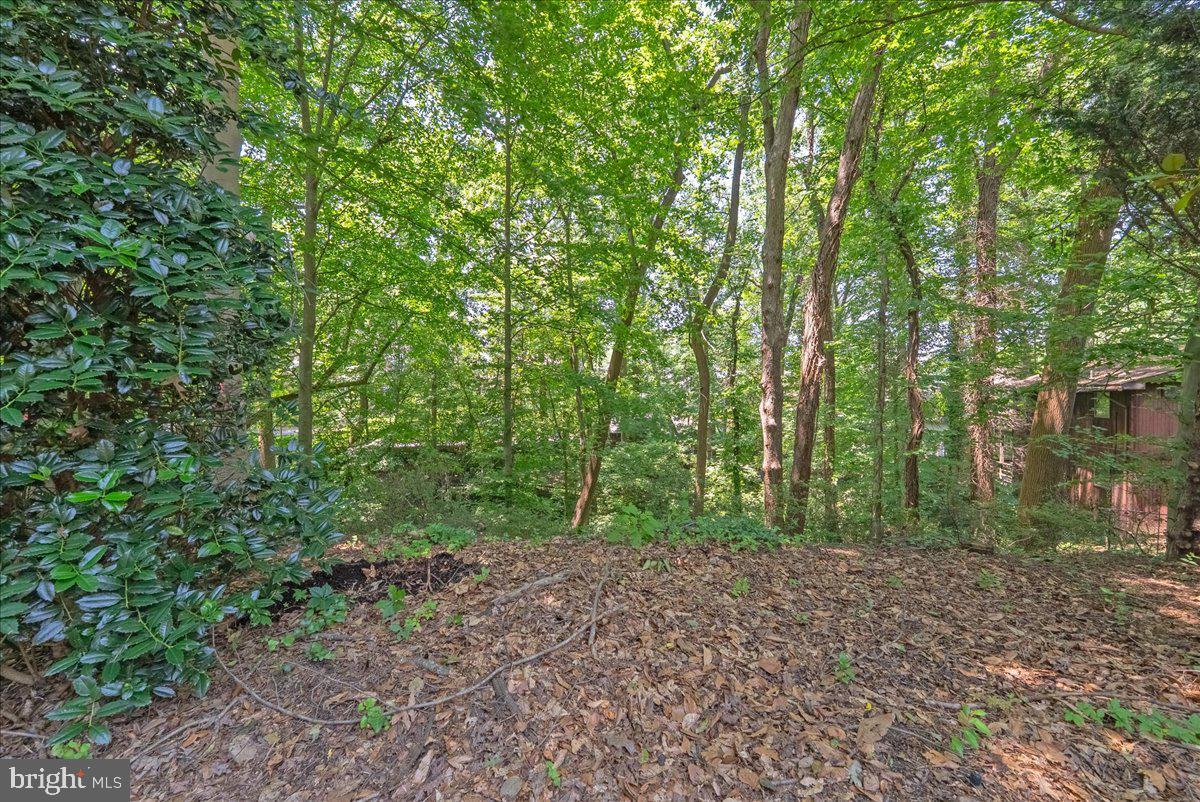 ARLINGWOOD - Land
