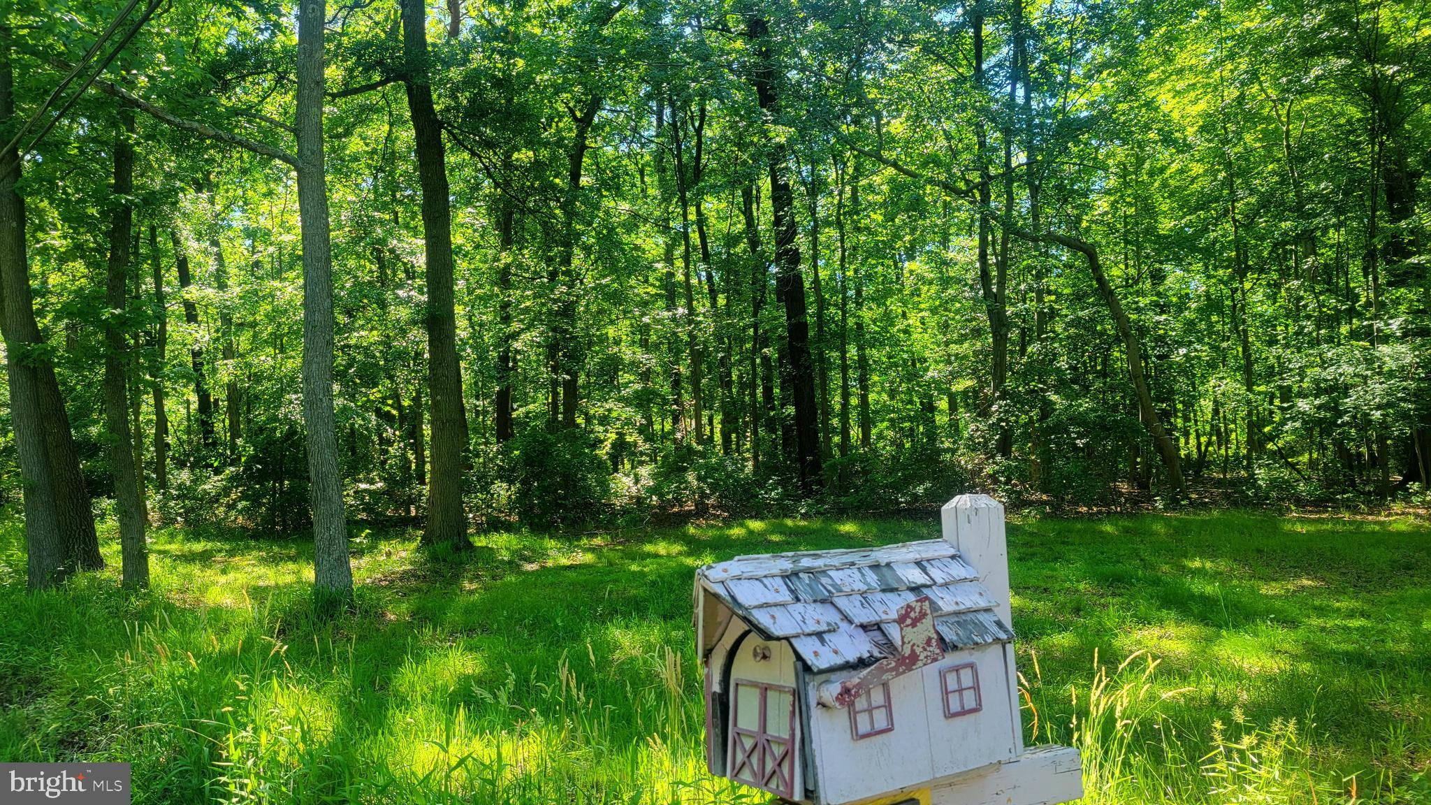 Nestled in a serene and picturesque setting, this exquisite 0.39-acre lot offers a unique opportunity to create your dream home amidst nature's beauty. With no thru street and a tranquil atmosphere, this property provides an exclusive retreat from the hustle and bustle of everyday life, allowing you to embrace a lifestyle of peace and privacy. The lot is adorned with lush trees and wooded areas, creating a natural sanctuary that invites you to unwind and connect with the outdoors. Imagine waking up to the gentle sounds of a nearby creek, as the soothing flow of Nabbs Creek enhances the ambiance of your future residence. The enchanting views of the creek and surrounding greenery provide a stunning backdrop for your custom home, ensuring that every window frames a picturesque scene. This property is not just a piece of land; it's a canvas for your aspirations. The absence of development in the immediate vicinity ensures that your investment remains a tranquil haven, free from the distractions of urban life. Here, you can design a luxurious retreat that reflects your personal style, whether it be a modern masterpiece or a charming cottage that harmonizes with the natural landscape. The location is ideal for those who appreciate the beauty of nature while still being conveniently close to local amenities. Enjoy the best of both worlds as you explore nearby parks, trails, and recreational opportunities, all while returning to your private oasis at the end of the day. With water-oriented features, this lot offers the potential for serene outdoor living spaces that can include decks, patios, or gardens that overlook the gentle stream. Picture evenings spent by the water, surrounded by the sounds of nature, creating memories that will last a lifetime. This property is a rare find, offering a luxurious lifestyle defined by tranquility, natural beauty, and the promise of a home that is uniquely yours. Embrace the opportunity to build a sanctuary that reflects your vision and enjoy the exclusive lifestyle that this exceptional lot has to offer.