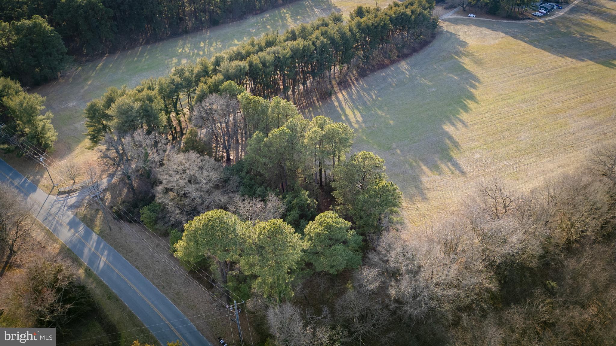 Exclusively offered for the first time, discover this exceptional 1.9-acre parcel, nestled just outside the charming town of Chestertown, MD. Offering tantalizing glimpses of the waterfront, this parcel presents an unparalleled opportunity to create the ultimate escape. Boasting perc approval, this parcel is primed and ready for the construction of your vision. 

Situated in close proximity to Chestertown's vibrant amenities yet offering the peace and privacy of a secluded sanctuary, this parcel strikes the perfect balance between convenience and serenity. Whether you envision a sprawling estate or a cozy cottage, the possibilities are endless on this expansive canvas.

Don't miss out on this rare opportunity to own a piece of paradise just outside Chestertown, MD. Schedule your showing today and start envisioning the endless possibilities that await on this remarkable parcel of land.